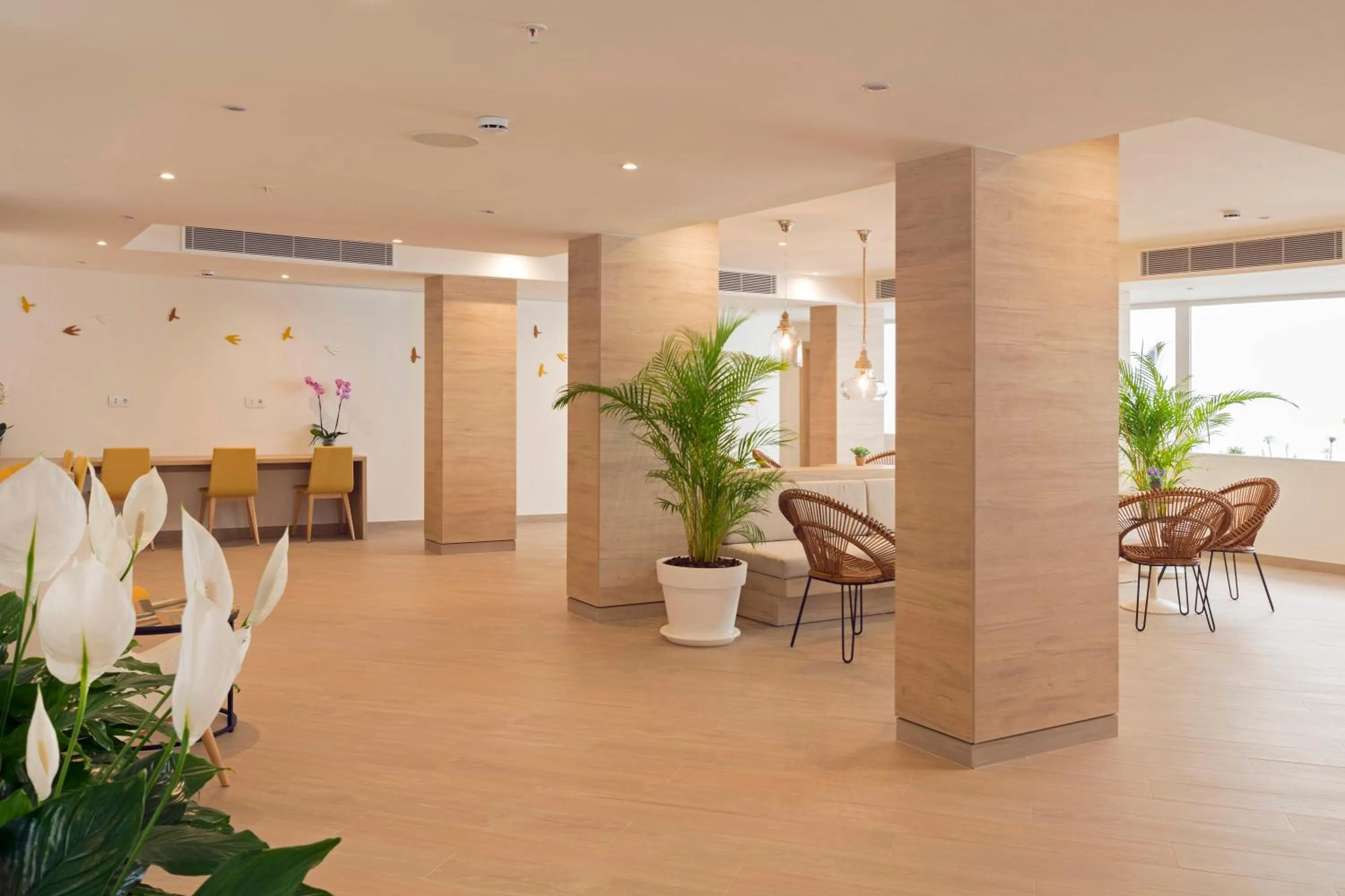 Lobby or reception in HSM Son Veri - Adults Only