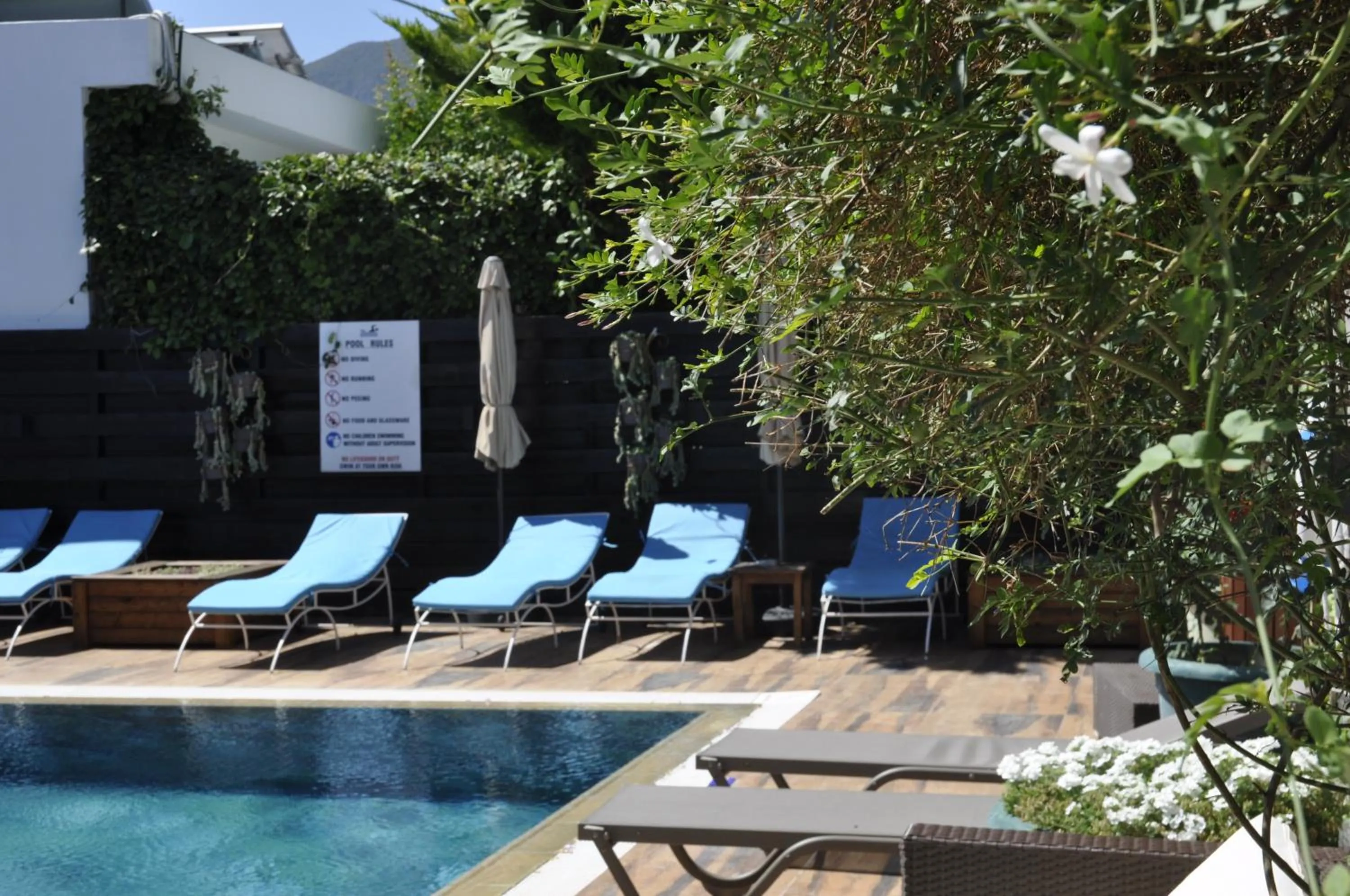 Garden in Sunside Inn Hotel