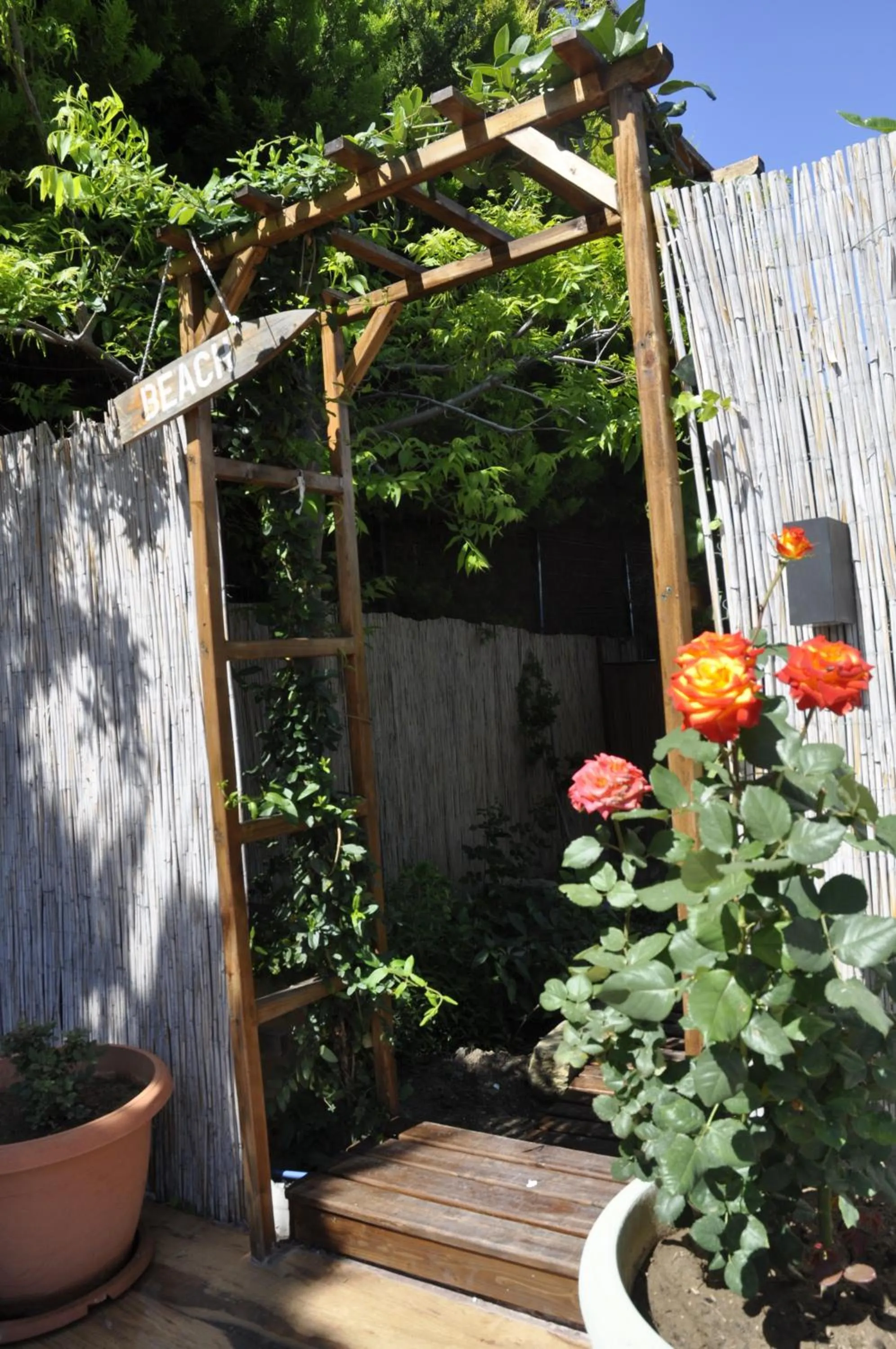Garden in Sunside Inn Hotel