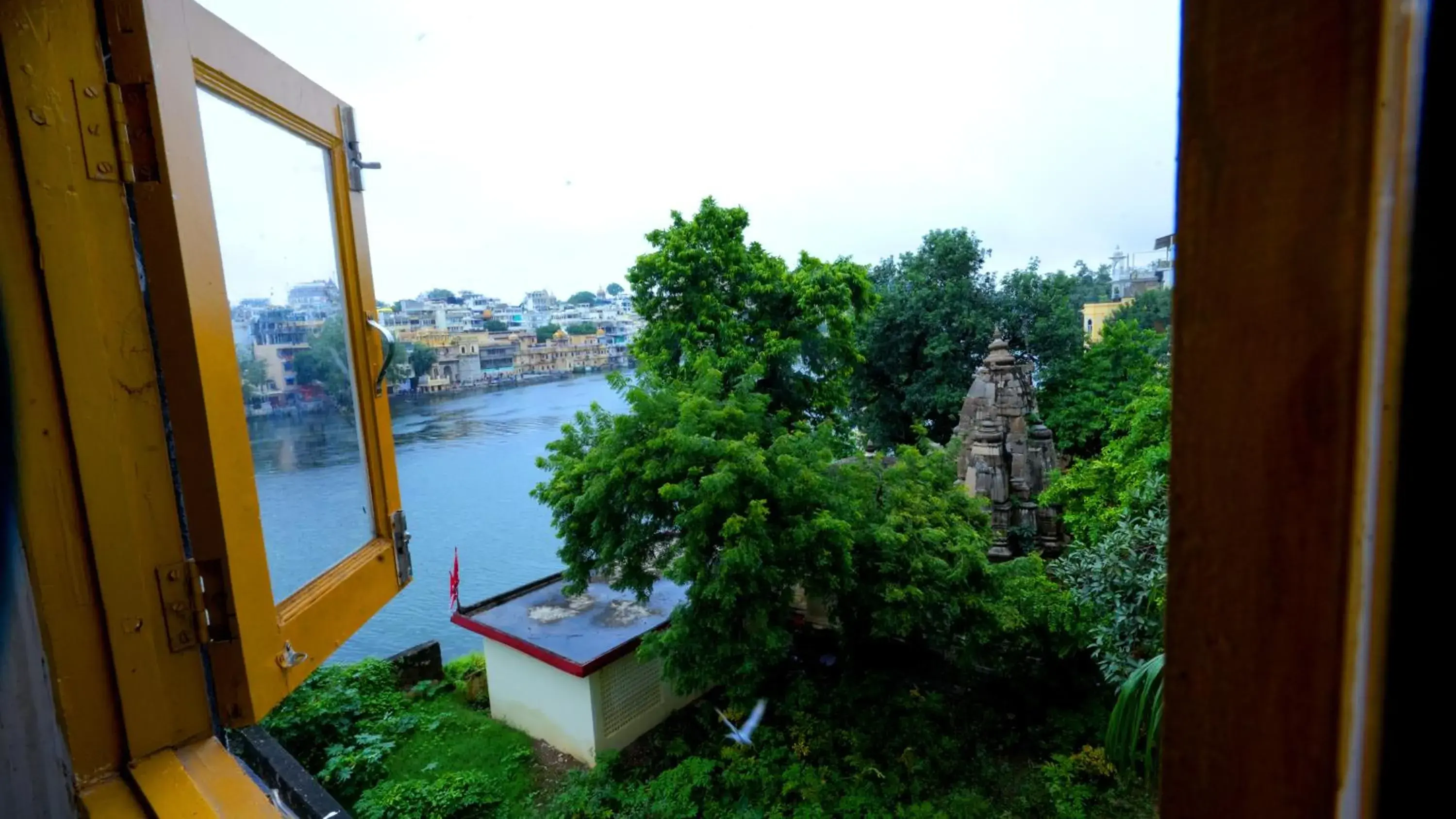 View (from property/room) in Jungle by sturmfrei Udaipur View (from property/room) in Jungle by sturmfrei Udaipur