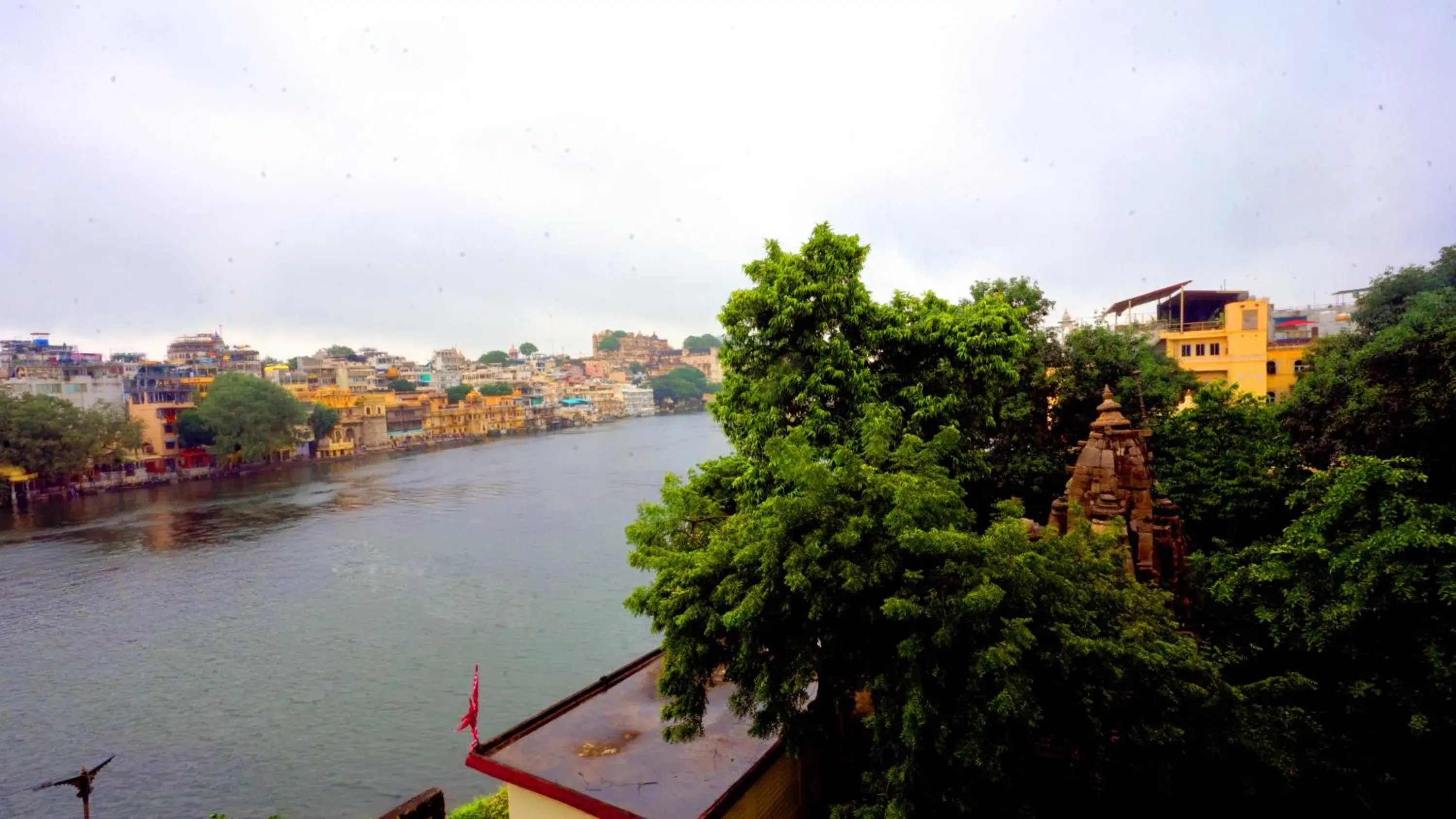 View (from property/room) in Jungle by sturmfrei Udaipur View (from property/room) in Jungle by sturmfrei Udaipur