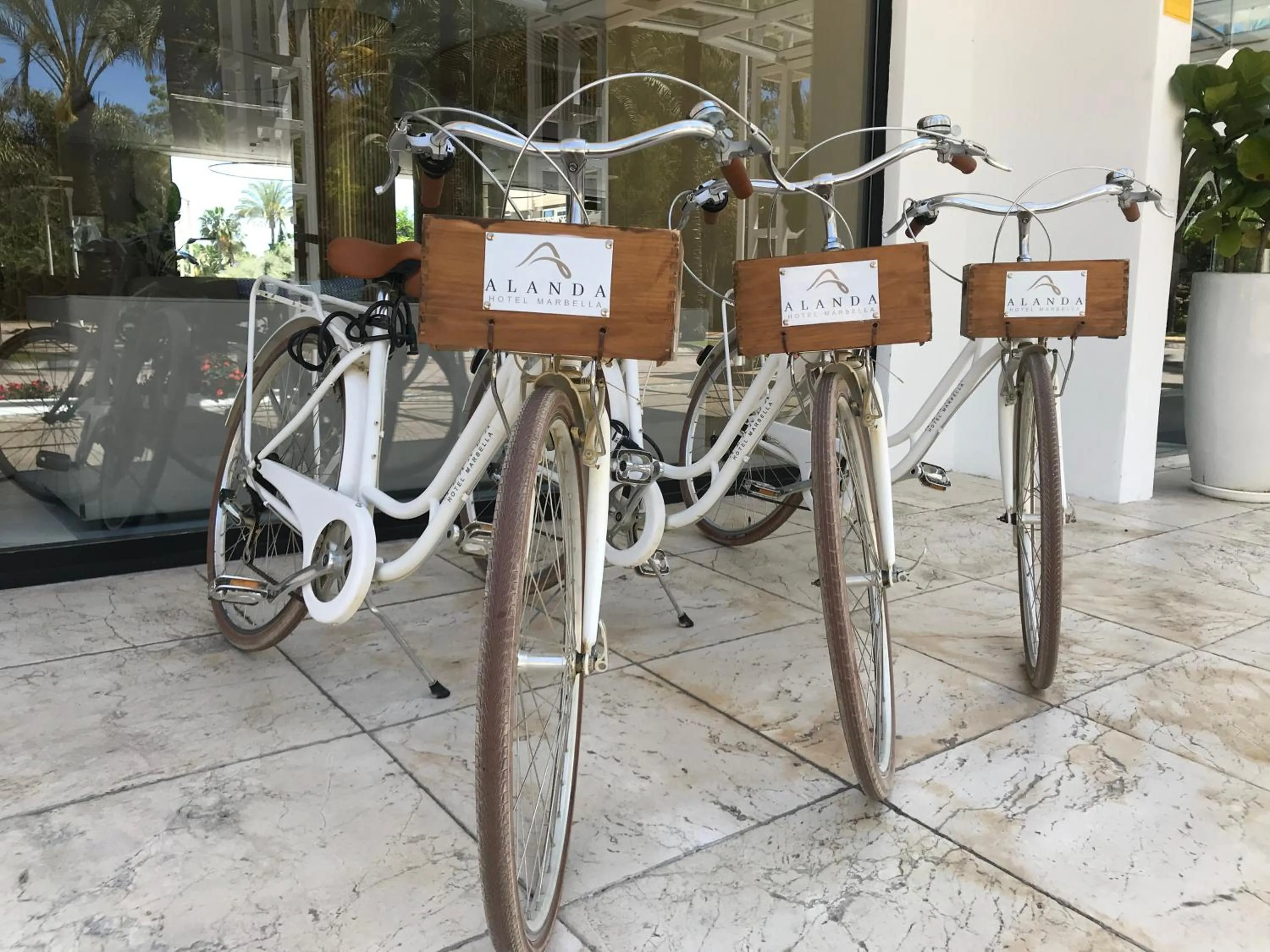 Activities in Alanda Marbella Hotel & Wellness