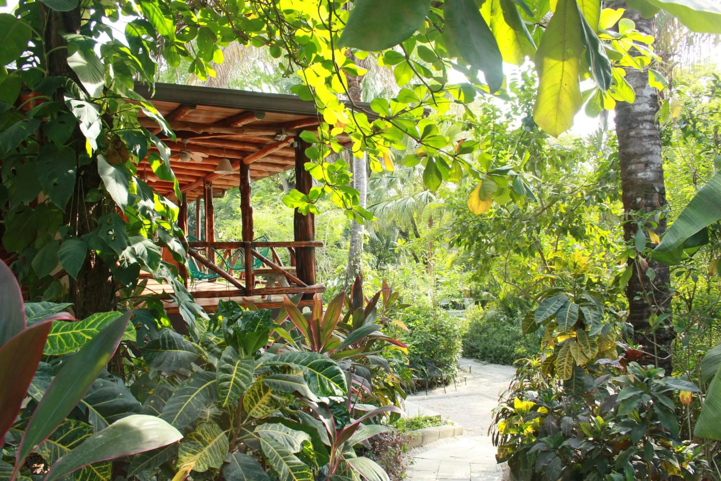 Garden in Hotel Guiones