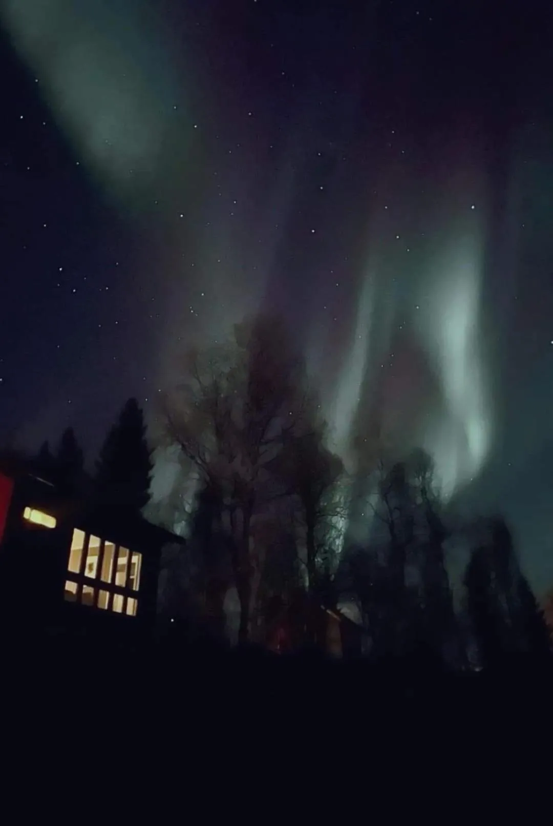 Cosy cabin in North-Norway, Nearby Senja.
