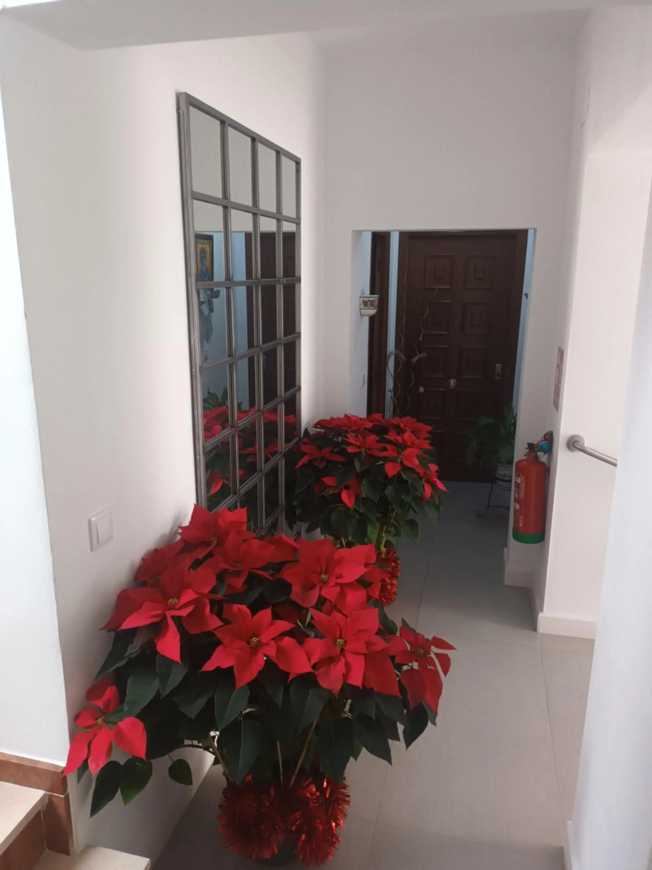 Property building in Suites Casa San Mateo