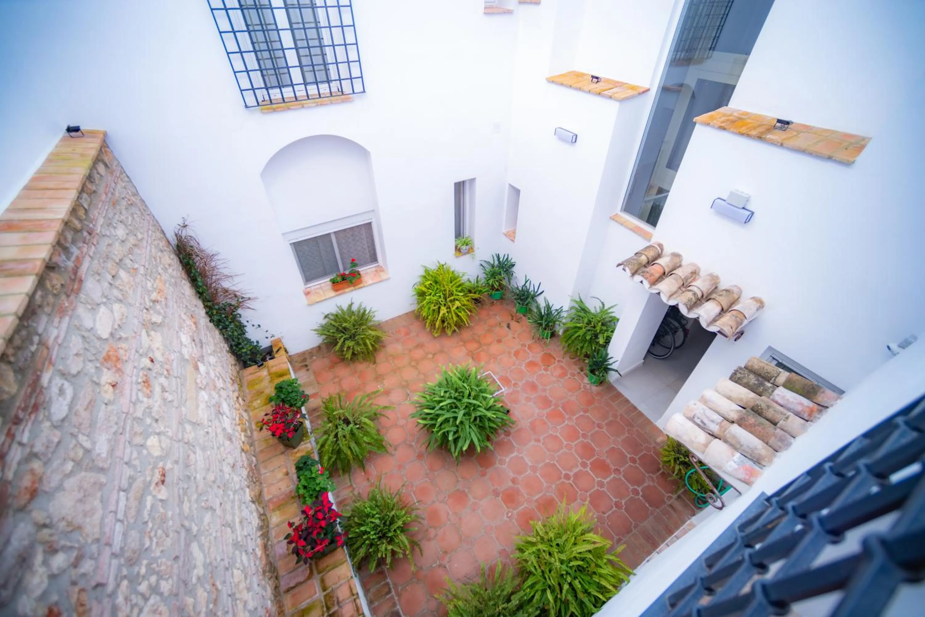 Patio in Suites Casa San Mateo