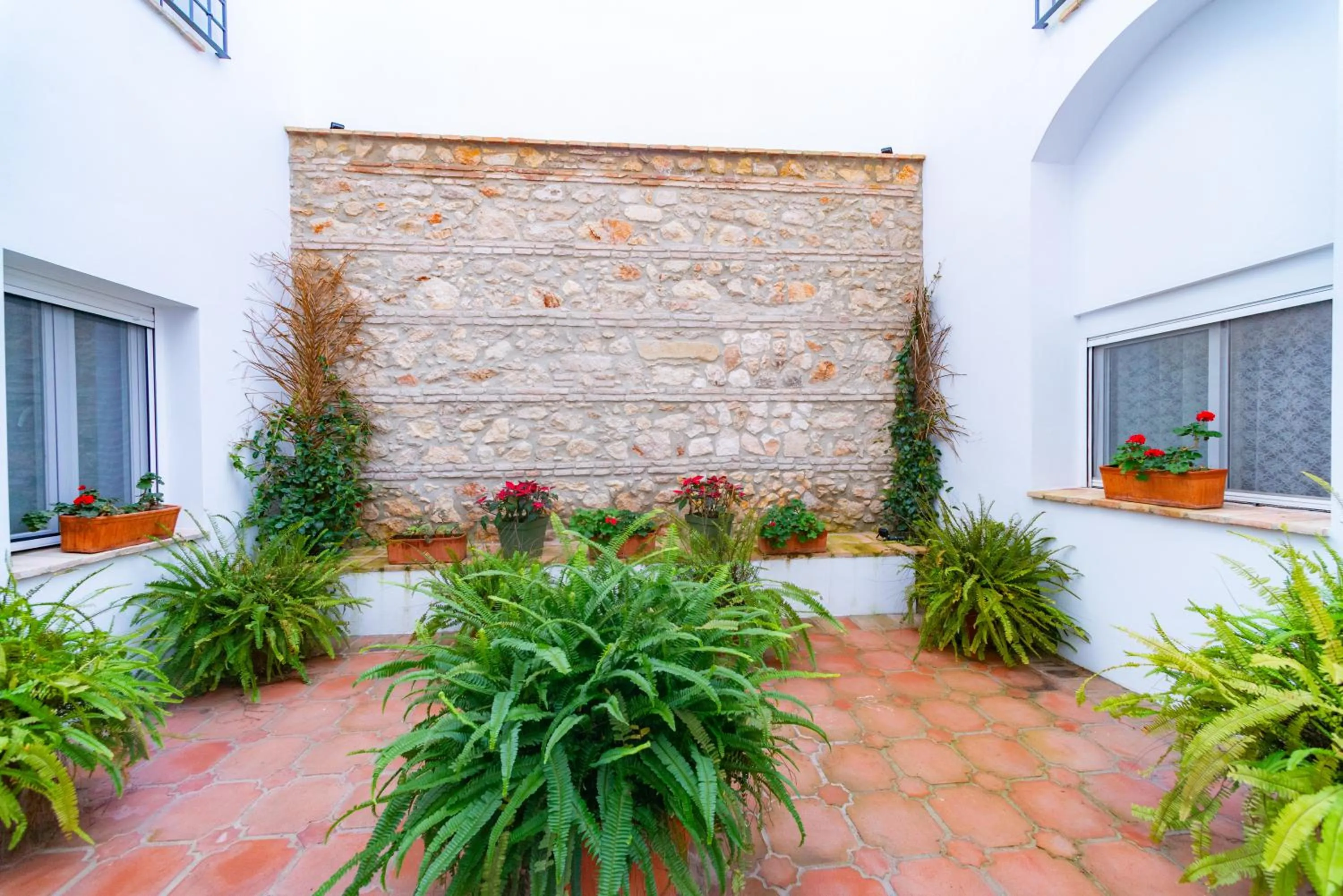 Patio in Suites Casa San Mateo