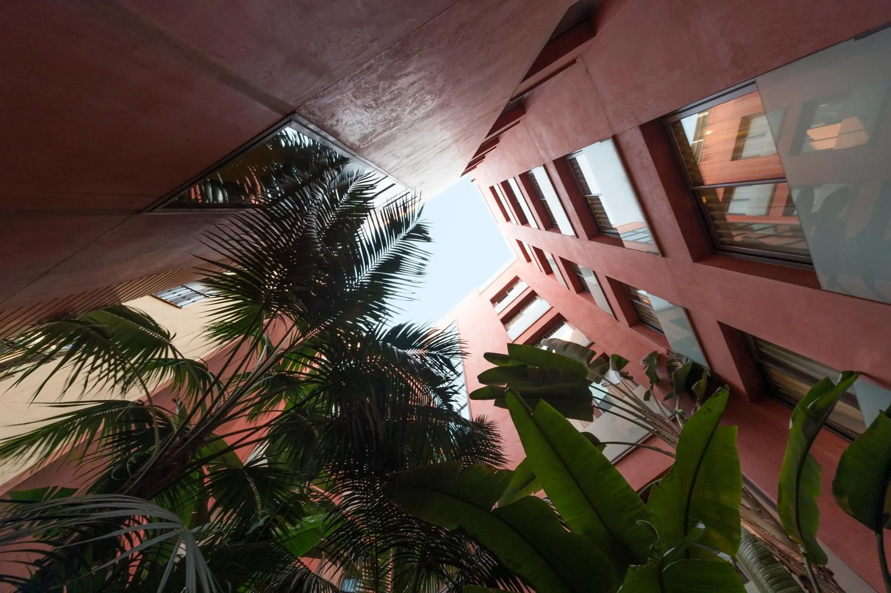 Garden view in Hotel Jazz Garden view in Hotel Jazz