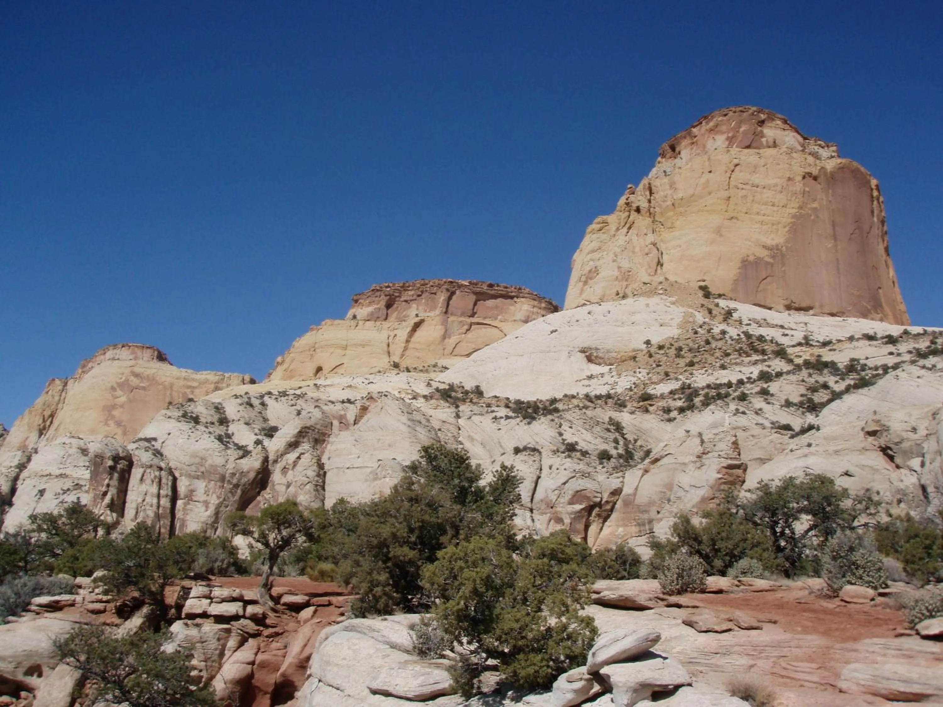 Area and facilities in The Rim Rock Inn