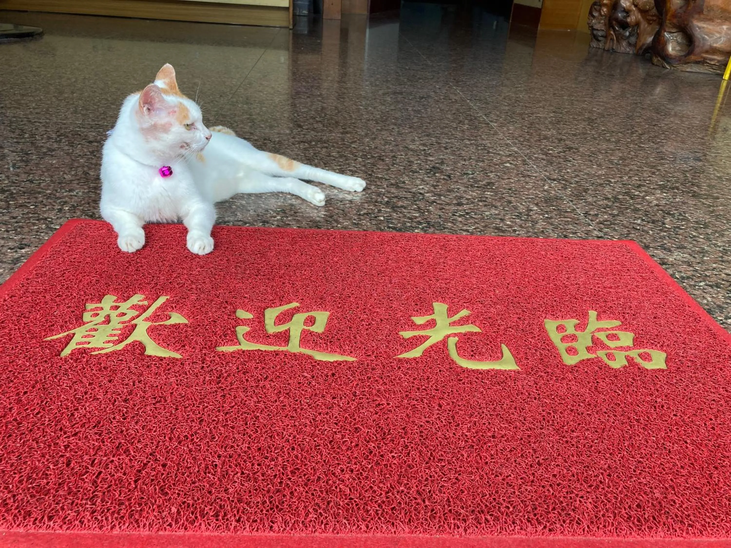 Pets in 墾丁大街Kenting Night Market-福賓別館 Fu Bin Inn免費停車