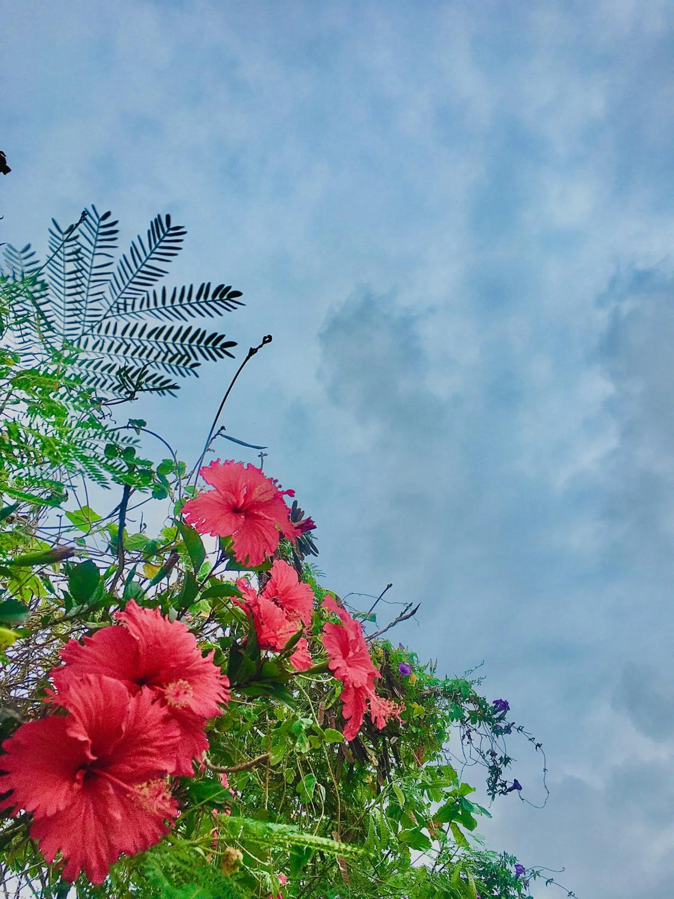 Natural landscape in 墾丁大街Kenting Night Market-福賓別館 Fu Bin Inn免費停車