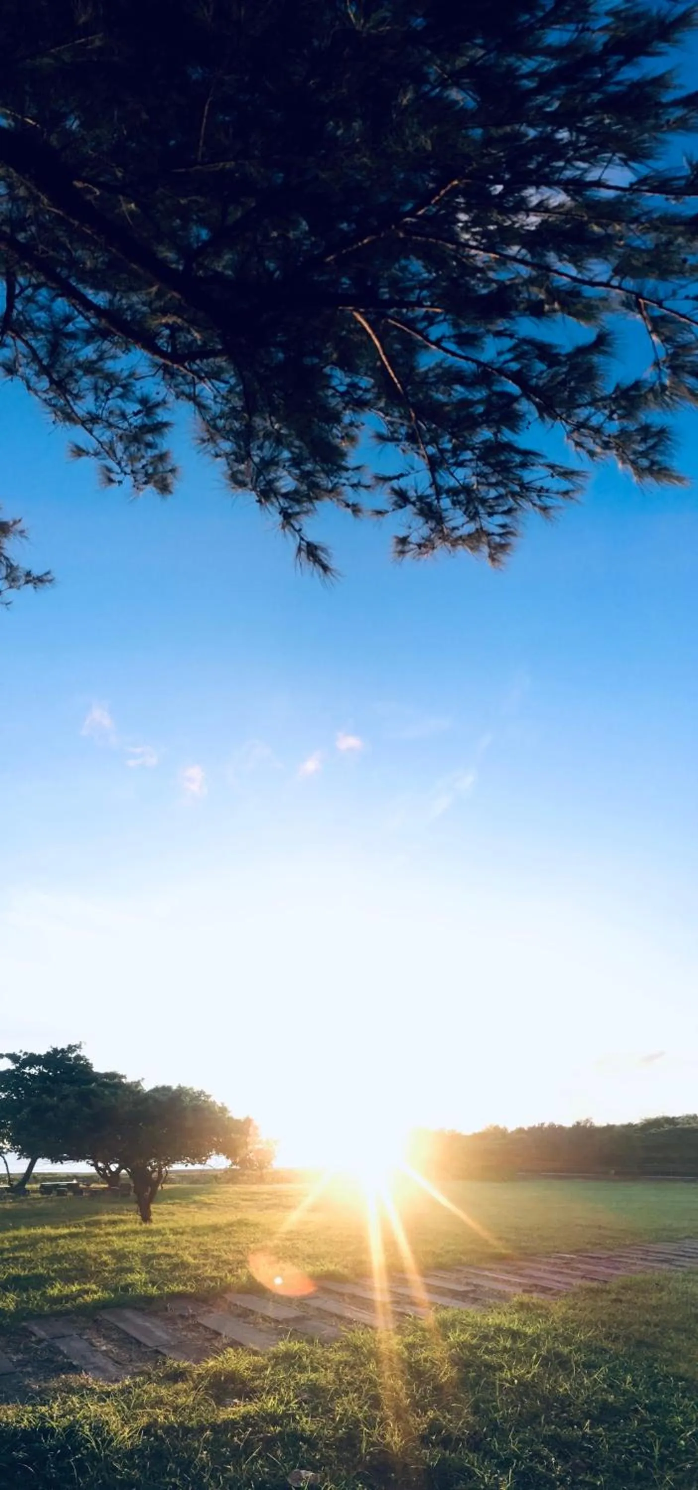 Natural landscape in 墾丁大街Kenting Night Market-福賓別館 Fu Bin Inn免費停車