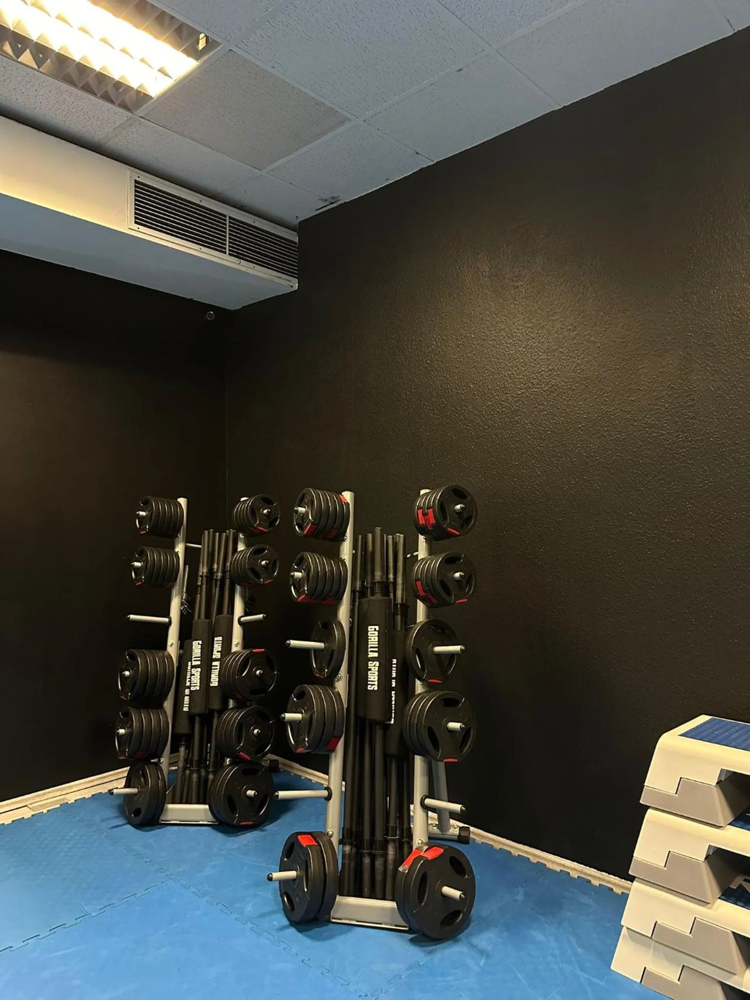 Fitness centre/facilities in Dithmarscher Haus