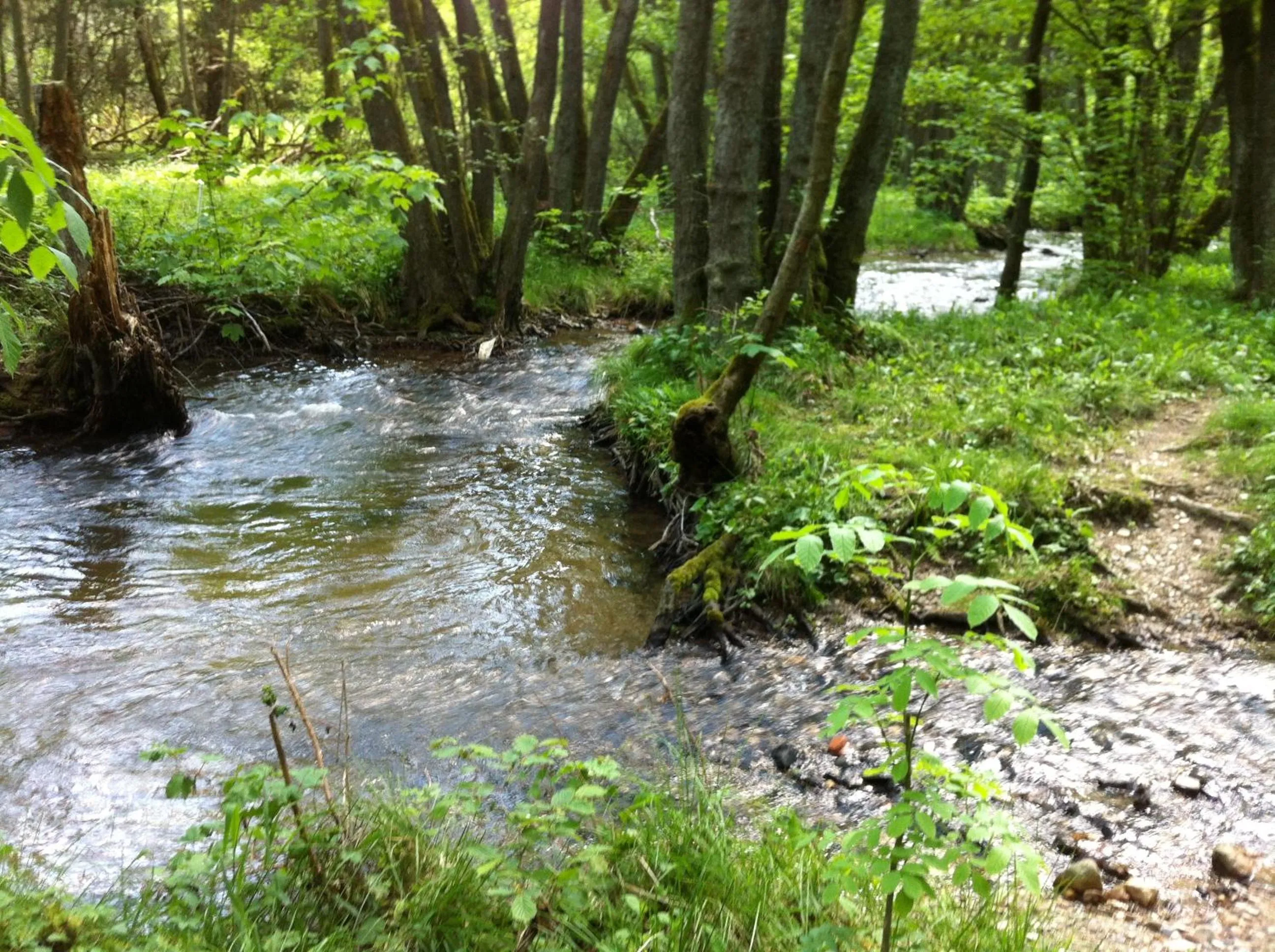 Other in Gasthof Zuck