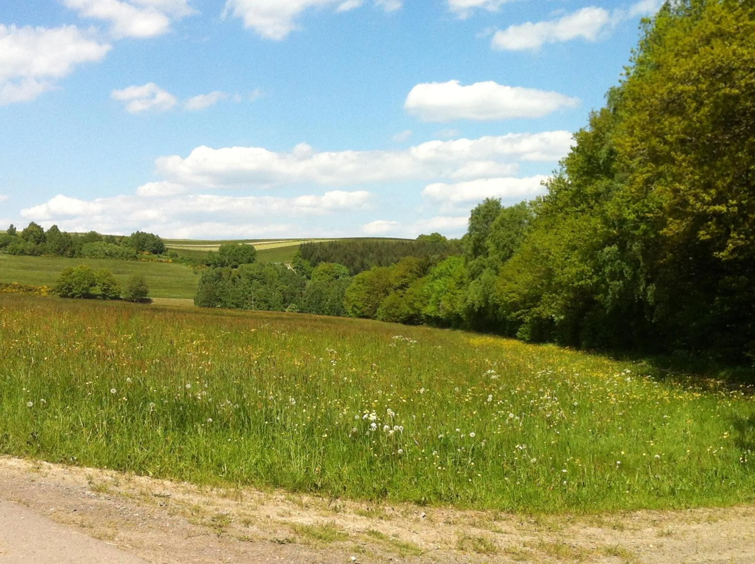 Other in Gasthof Zuck