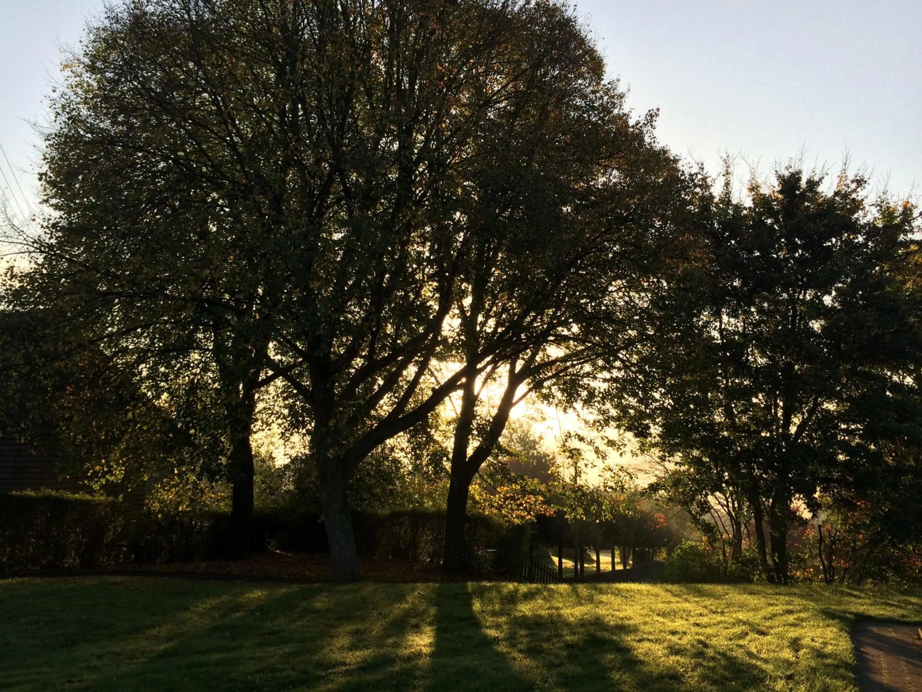 Garden in Gasthof Zuck