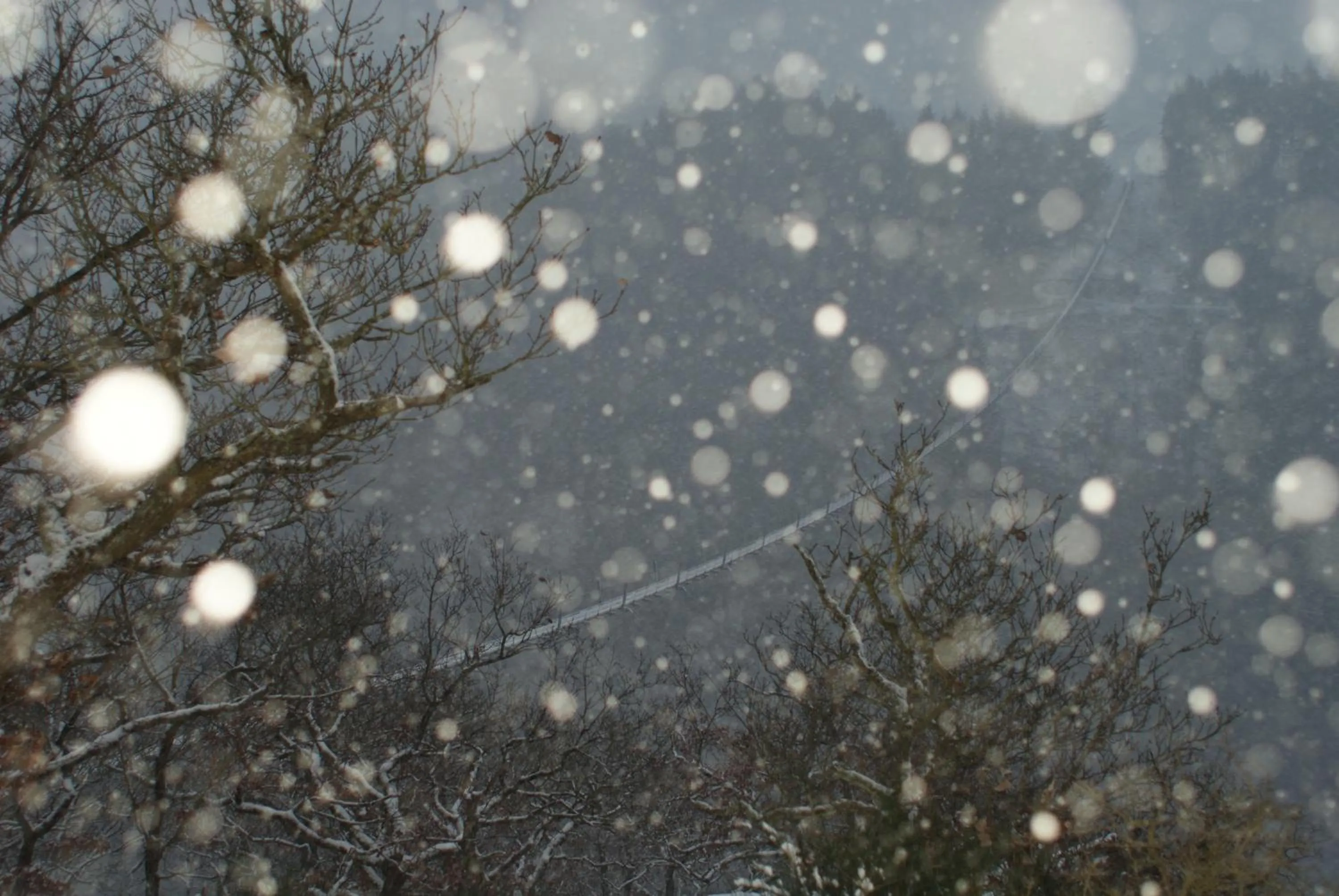 Winter in Gasthof Zuck