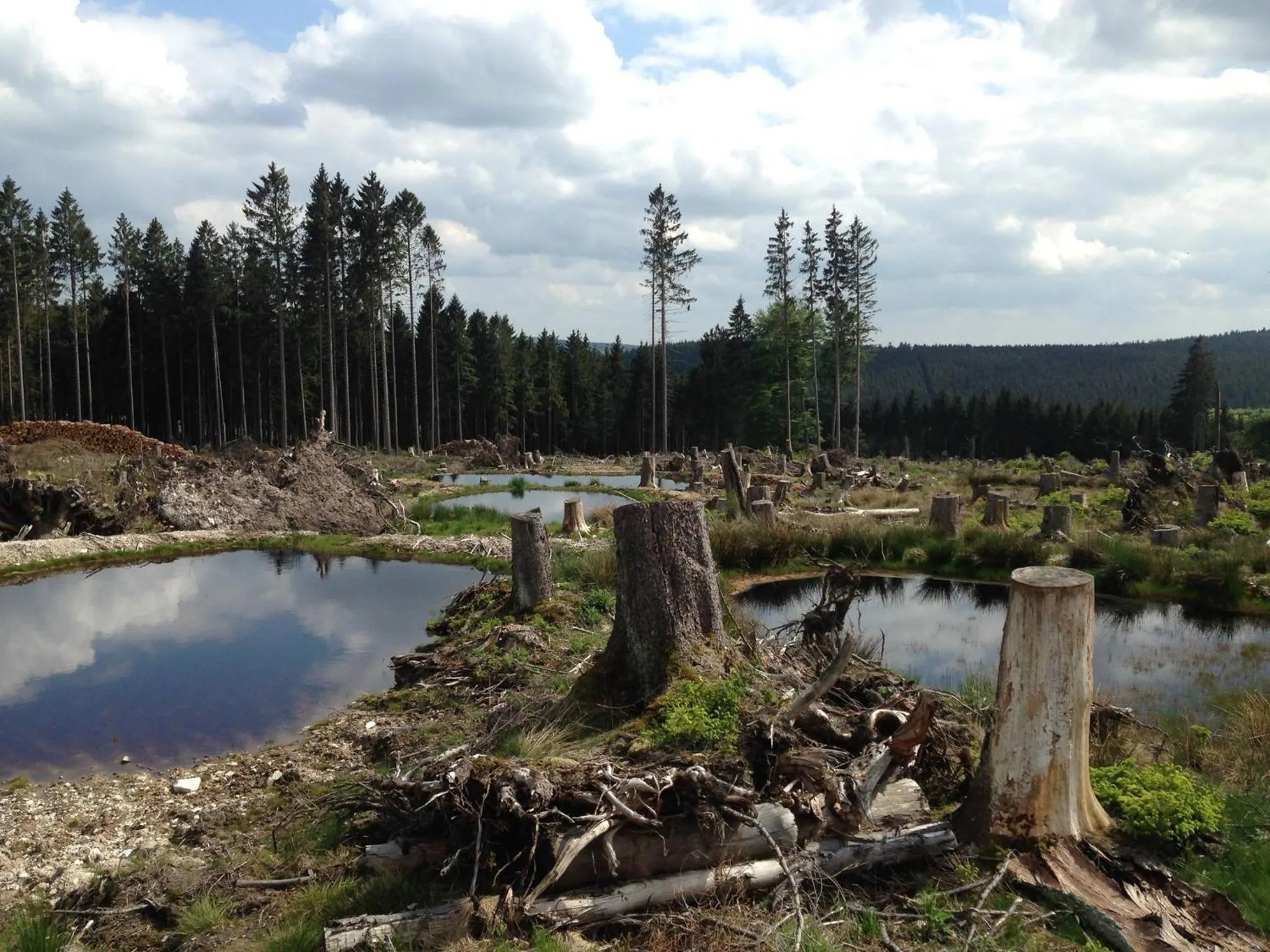 Natural landscape in Gasthof Zuck