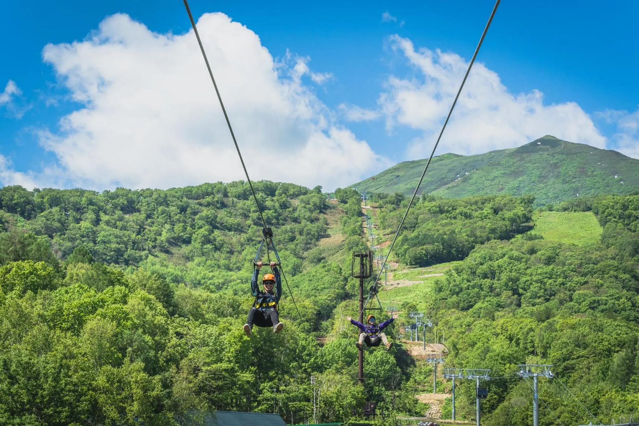 Activities in Forest Estate