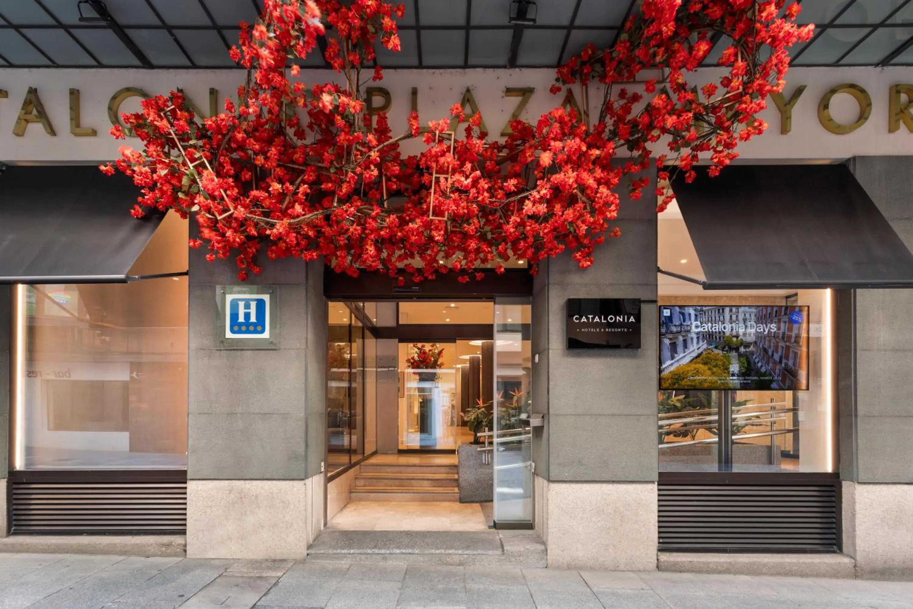 Facade/entrance in Catalonia Plaza Mayor Salamanca Facade/entrance in Catalonia Plaza Mayor Salamanca