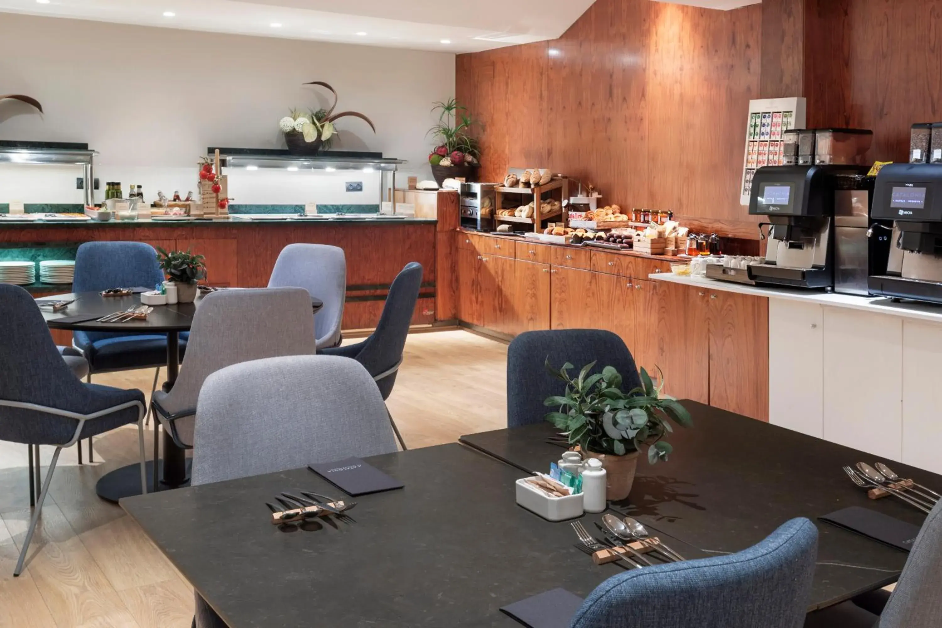 Food and drinks in Catalonia Plaza Mayor Salamanca Food and drinks in Catalonia Plaza Mayor Salamanca