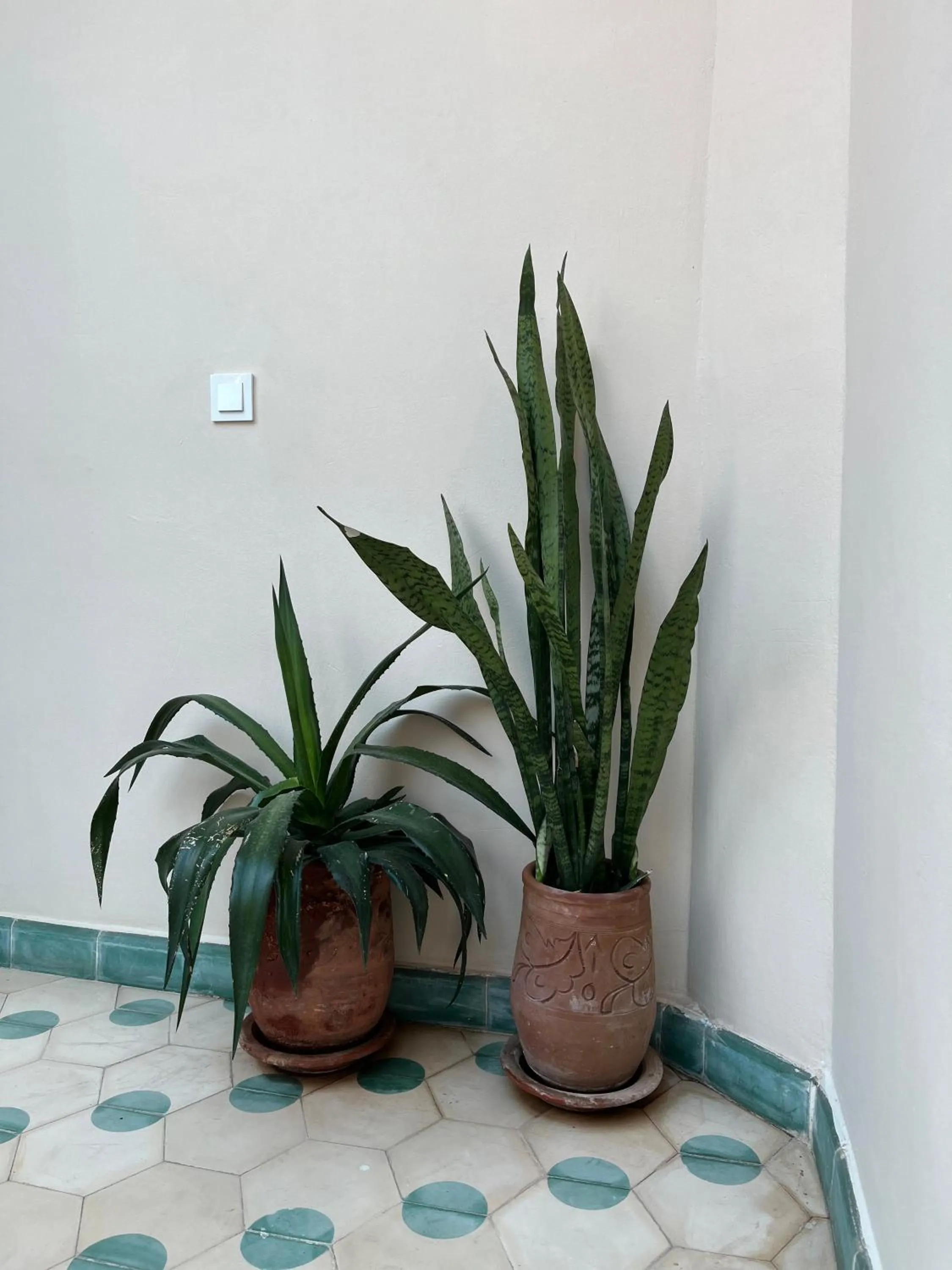 Decorative detail in Riad Imndi