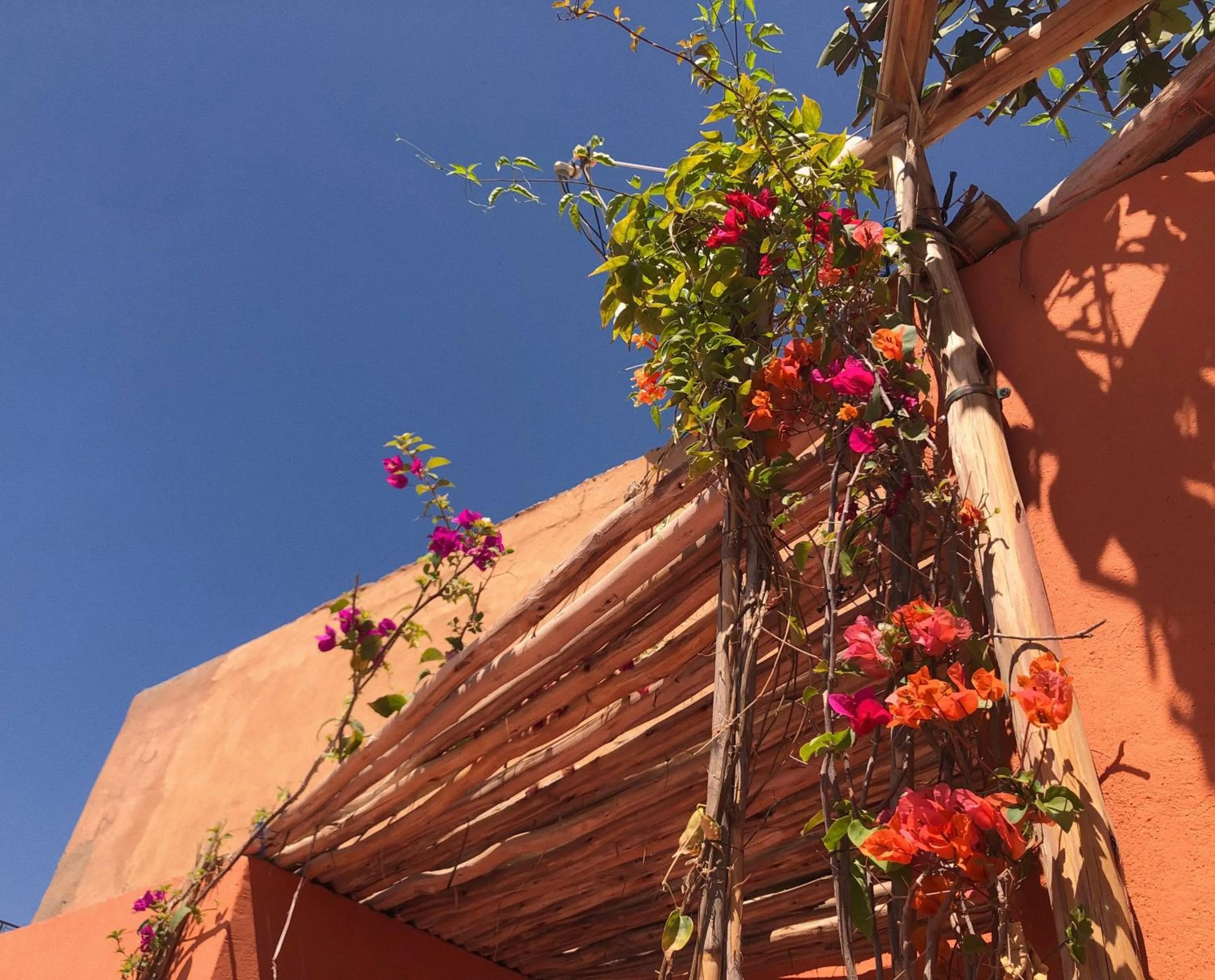 Garden view in Riad Imndi
