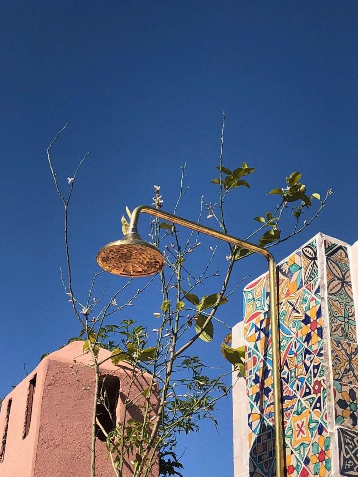 Garden in Riad Imndi