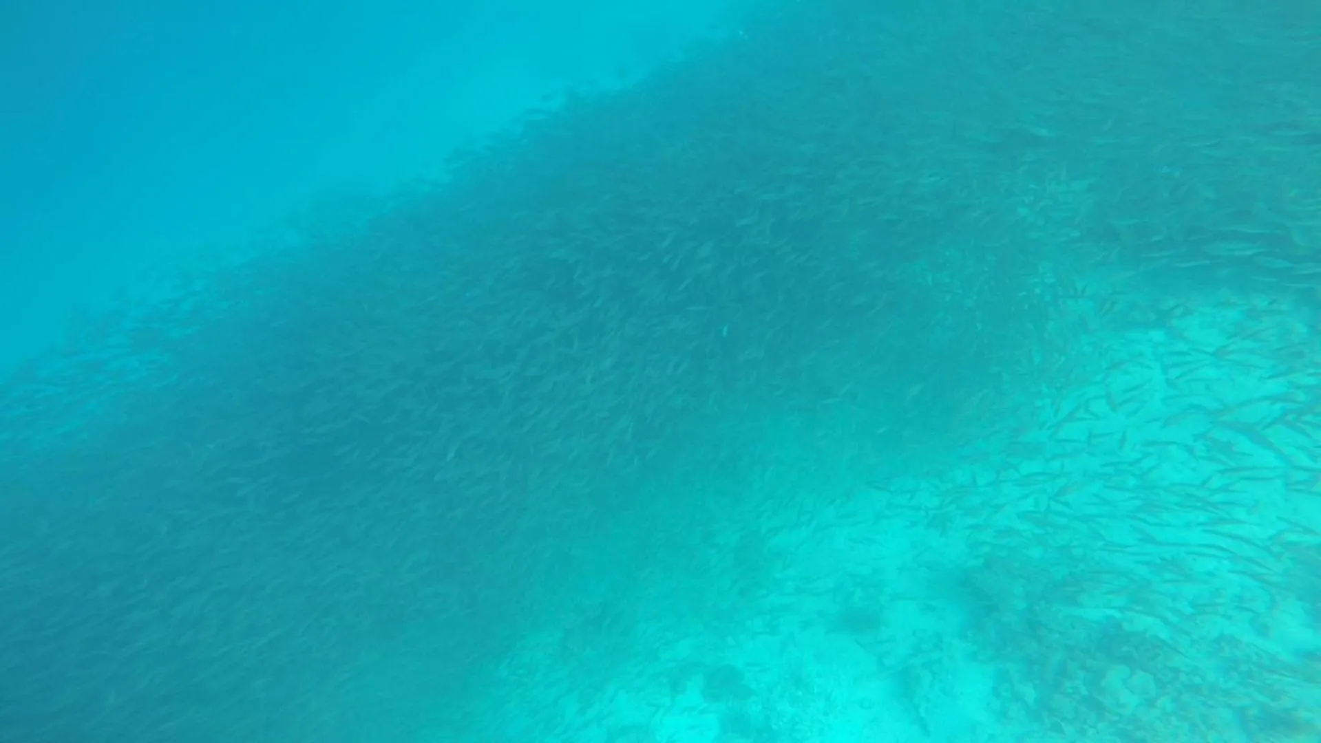 Natural landscape in Josefina's Tourist Inn