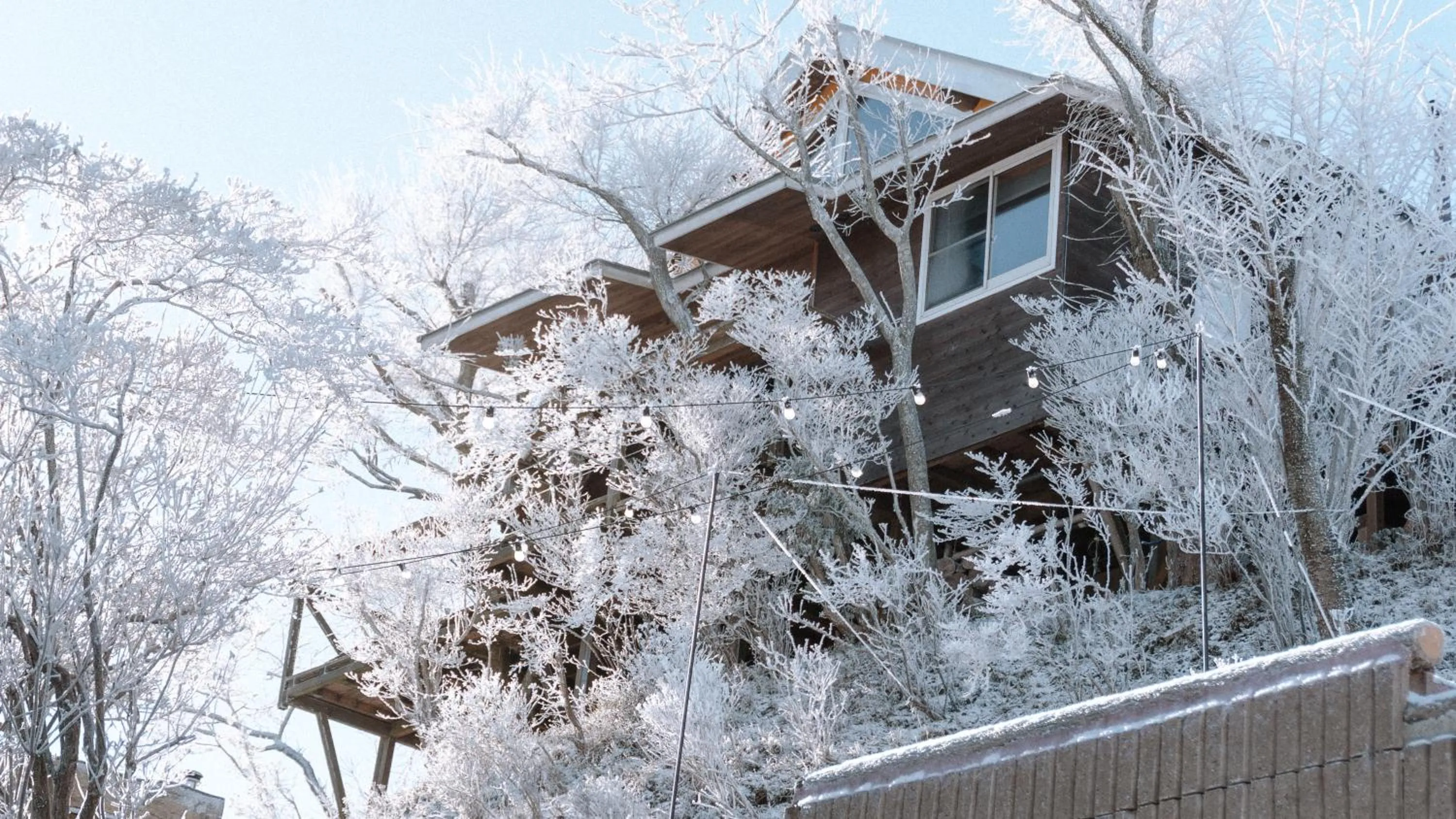 Property building in RENEST