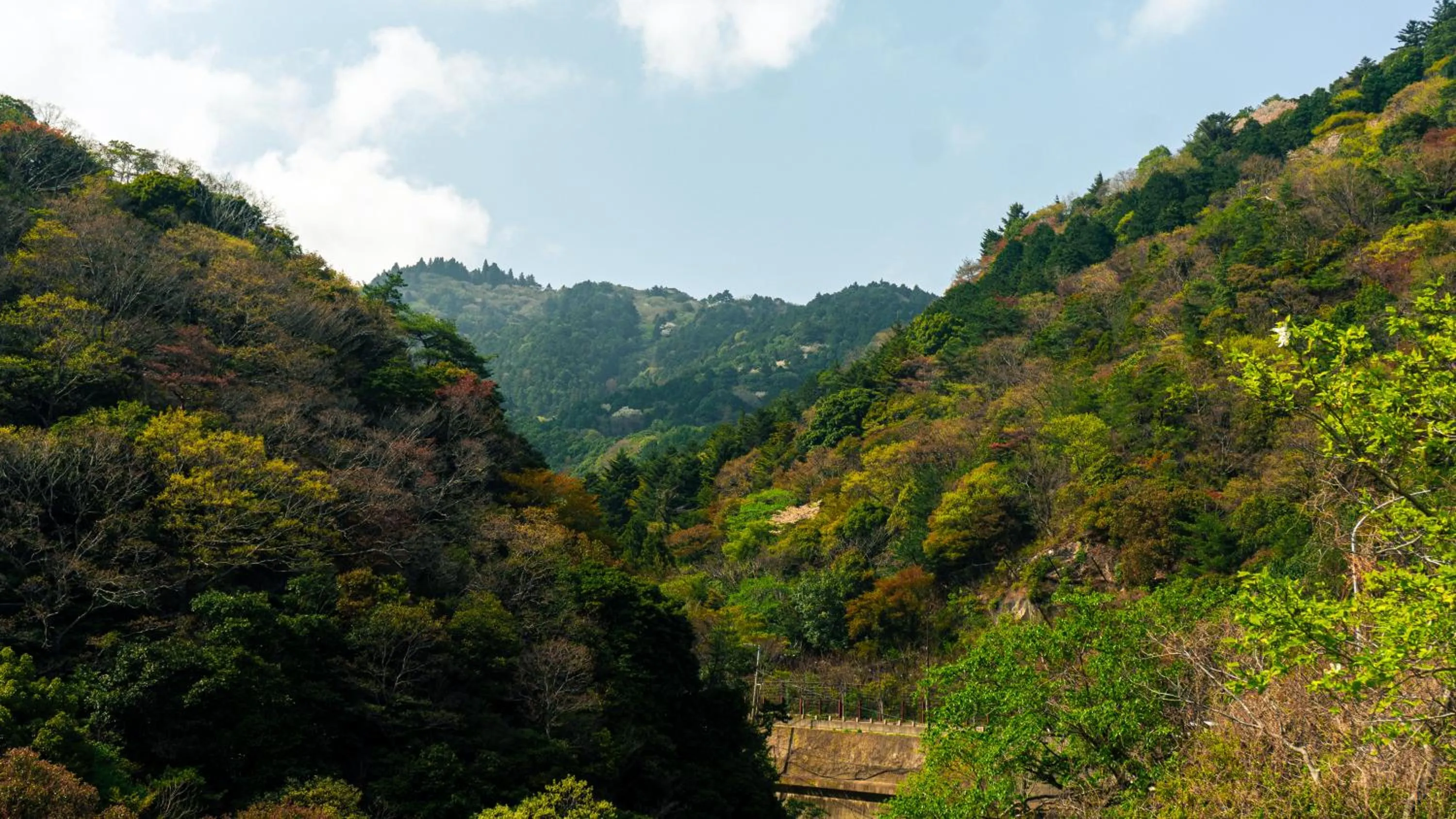 Natural landscape in RENEST