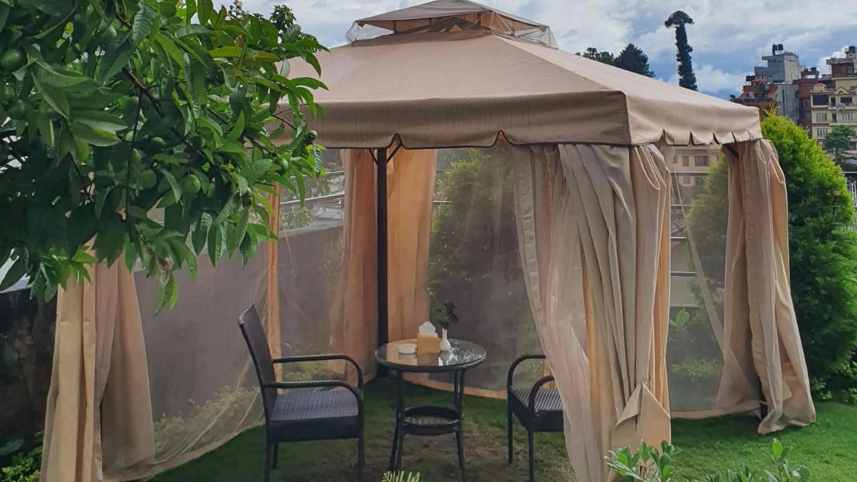 Garden in Hotel Grand View