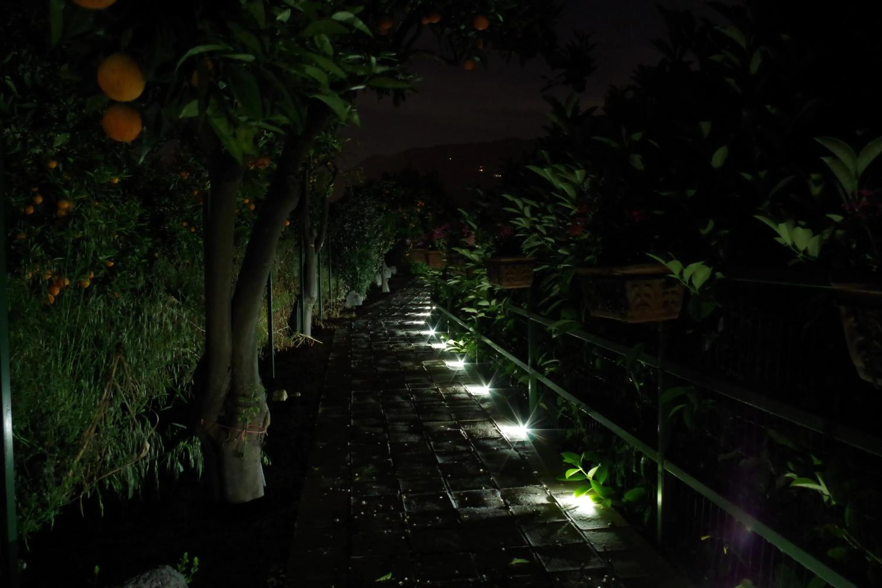 Garden in B&B Villa Valentina