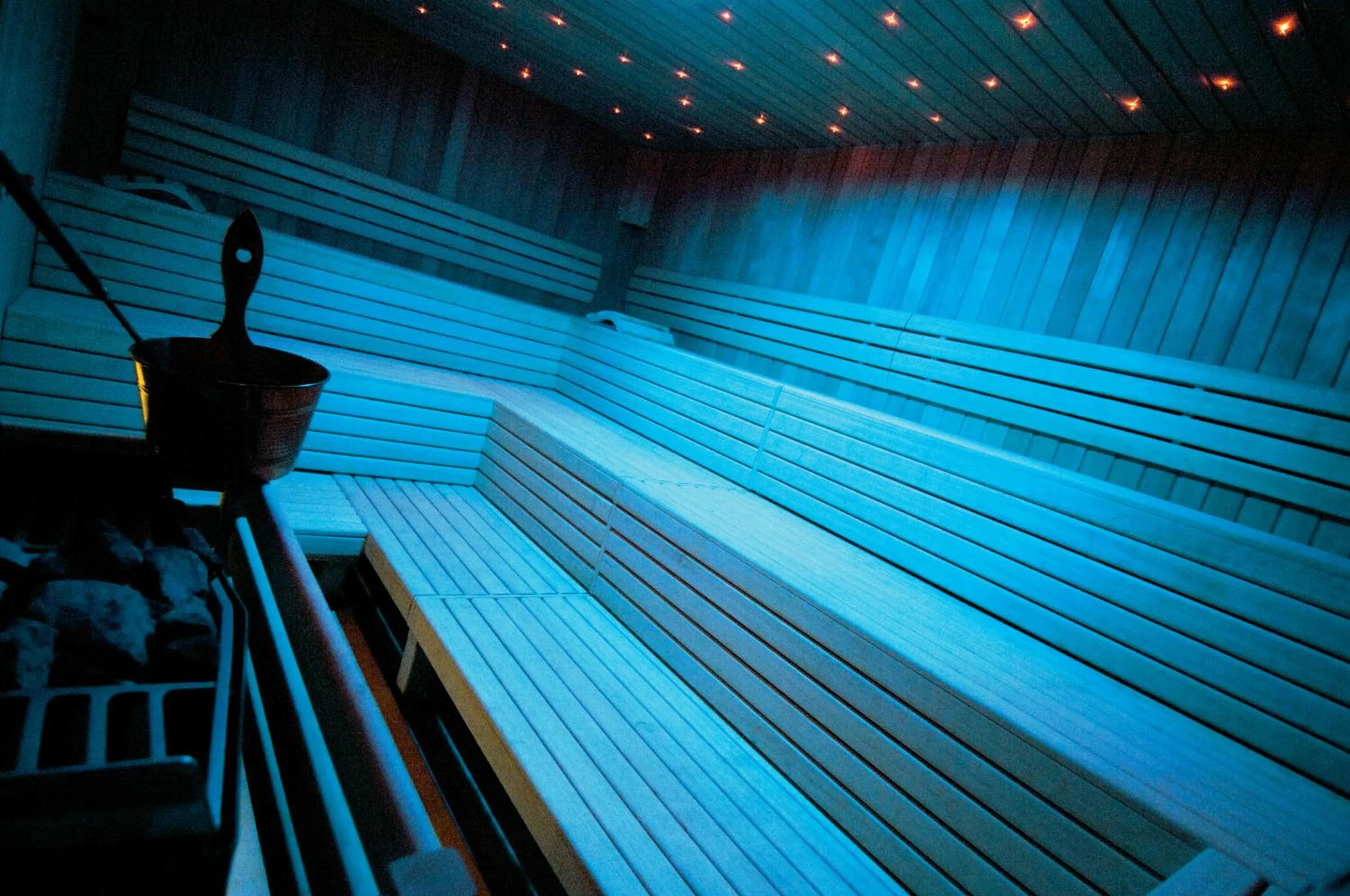 Sauna in Maistra Select All Suite Island Hotel Istra