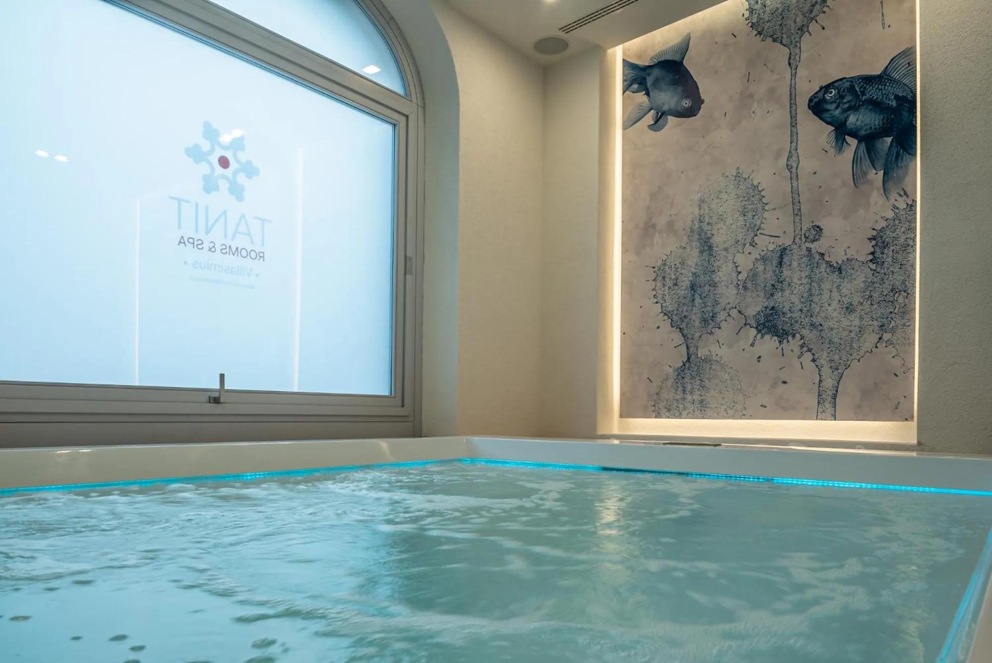 Swimming Pool in TANIT ROOMS & SPA