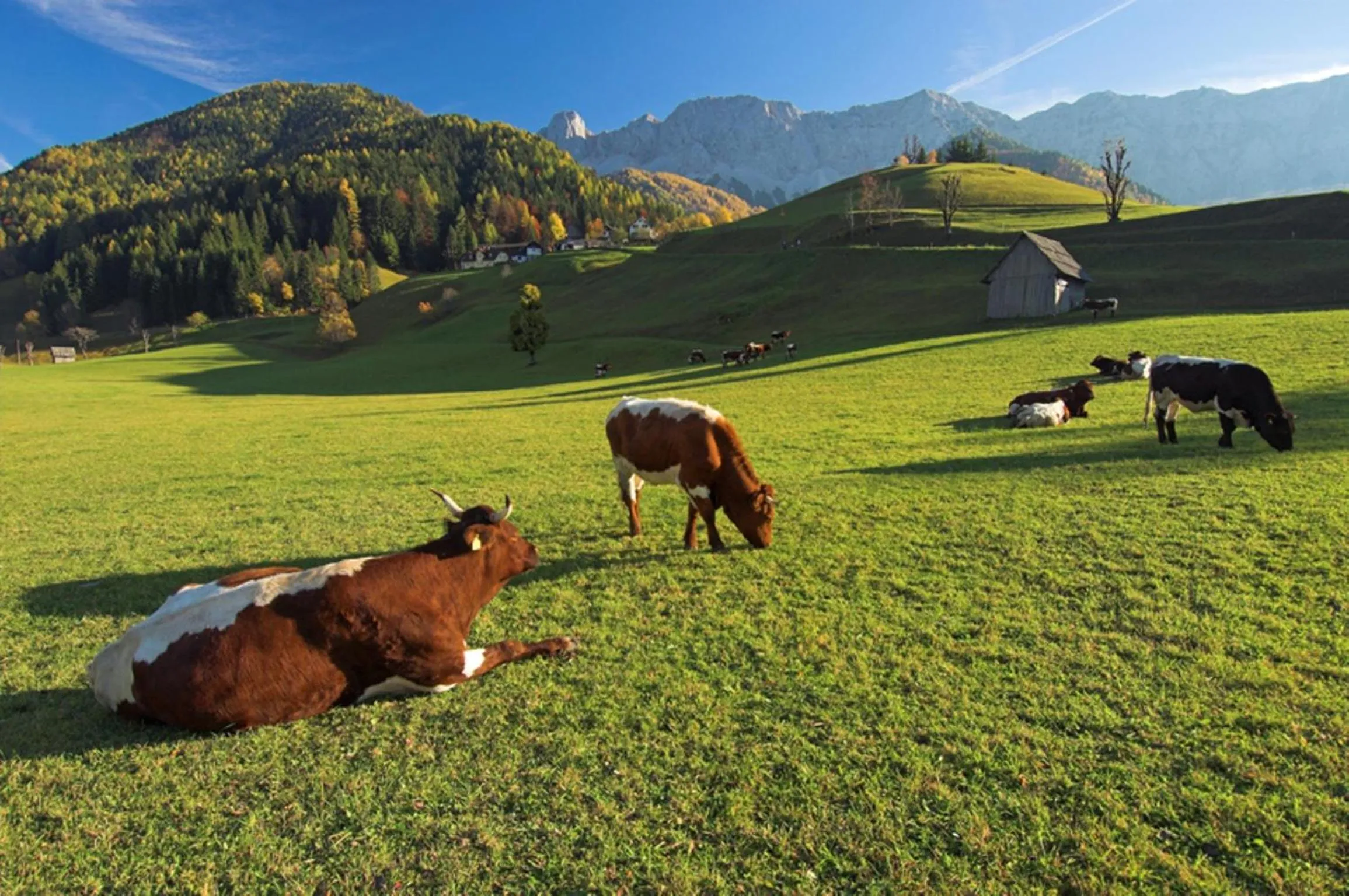 Area and facilities in Hotel Reichmann