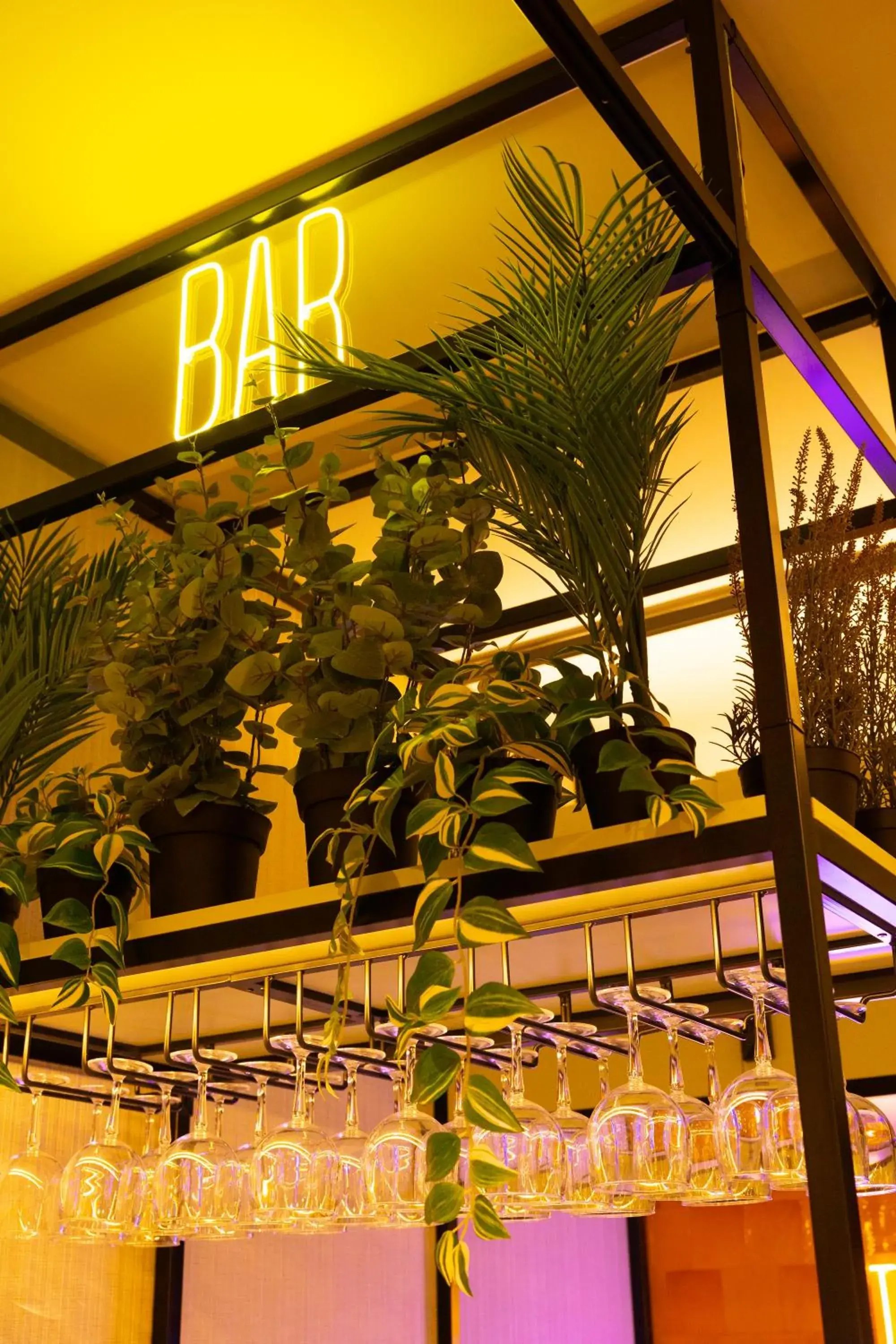 Lounge or bar in Petit Hostel Palacio Real Lounge or bar in Petit Hostel Palacio Real