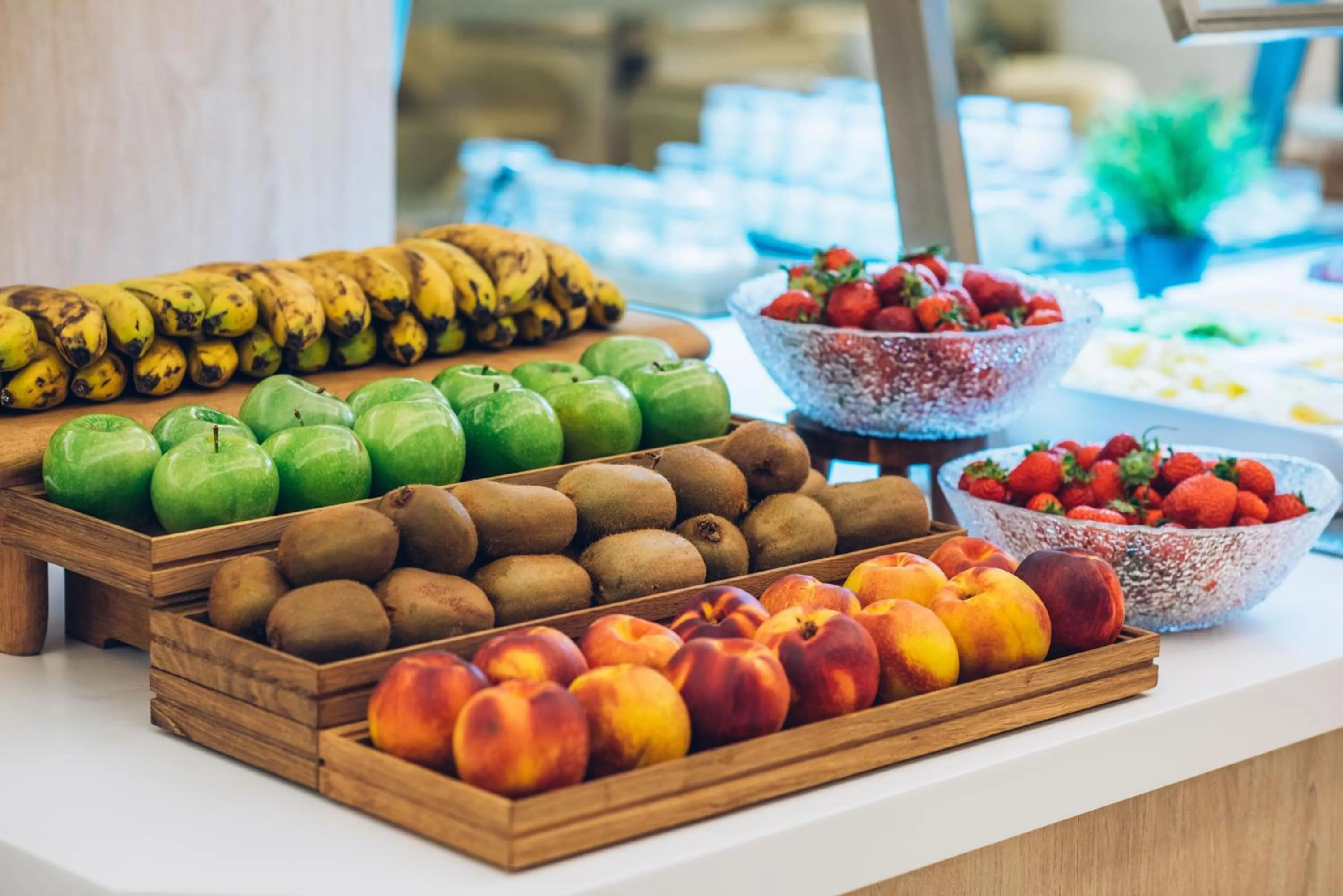 Food and drinks in Iberostar Selection Marbella Coral Beach