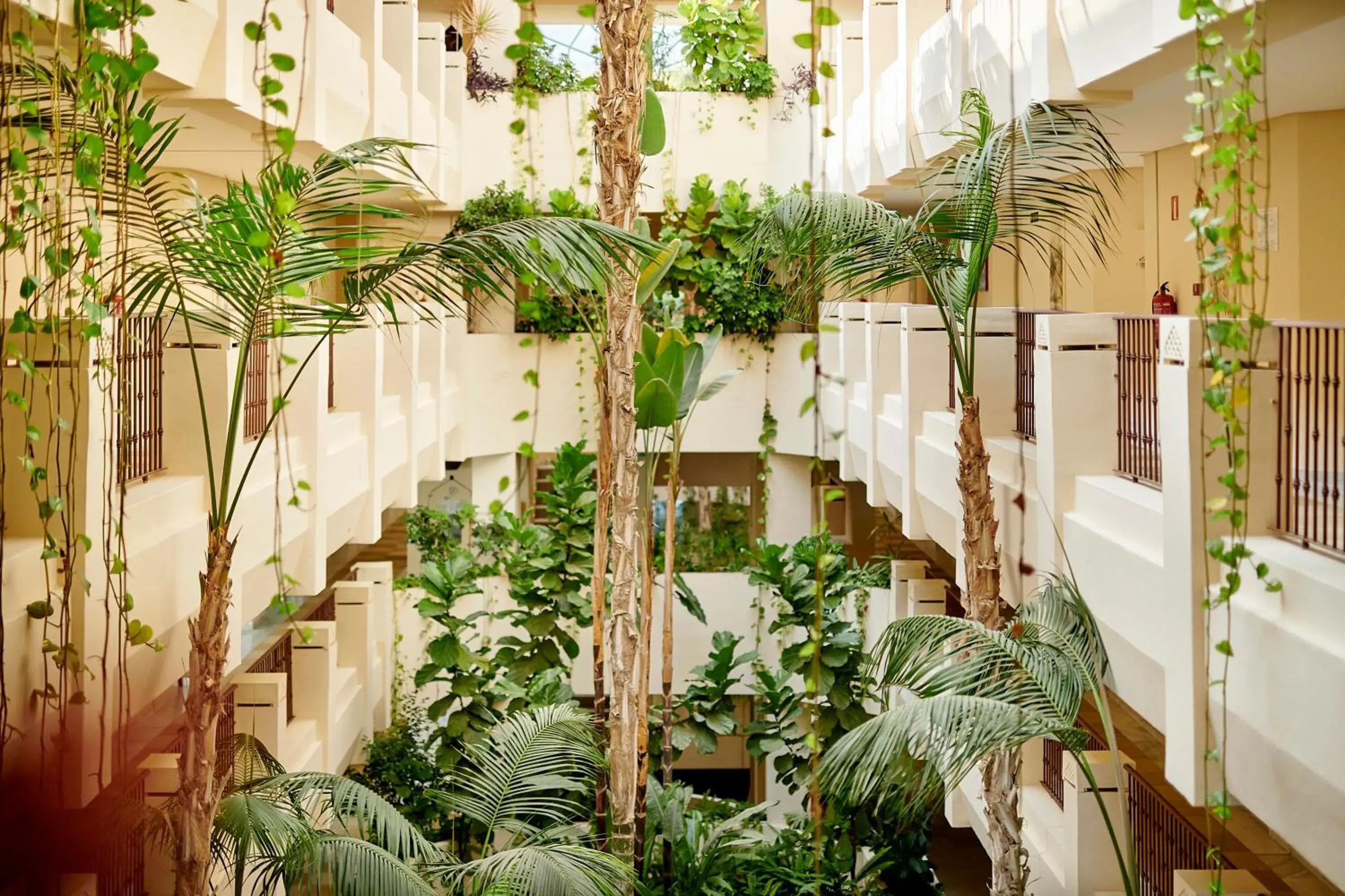 Property building in Iberostar Selection Marbella Coral Beach Property building in Iberostar Selection Marbella Coral Beach