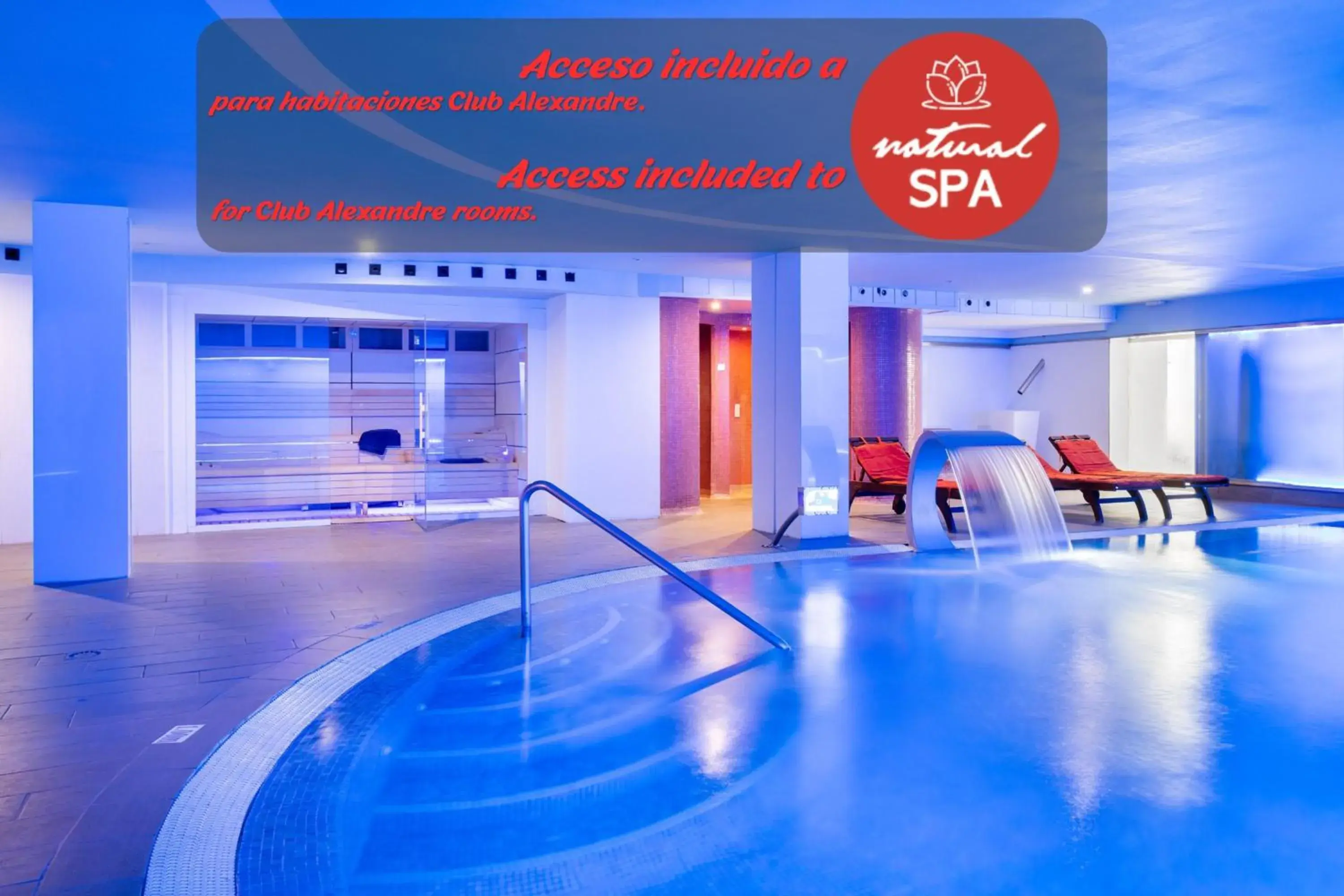 Photo of the whole room in Alexandre La Siesta Photo of the whole room in Alexandre La Siesta