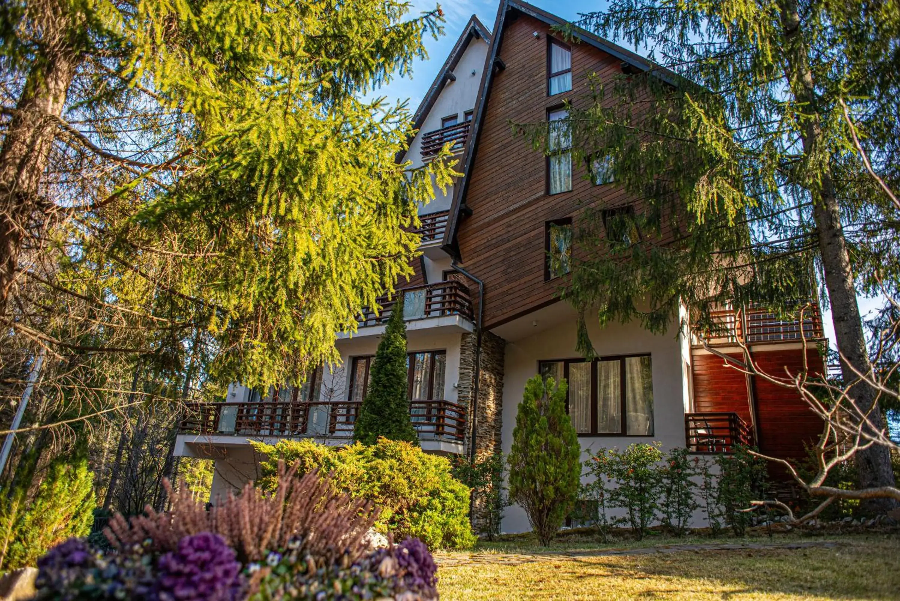 Paj Hotelul Retreat & Spa Paj Hotelul Retreat & Spa