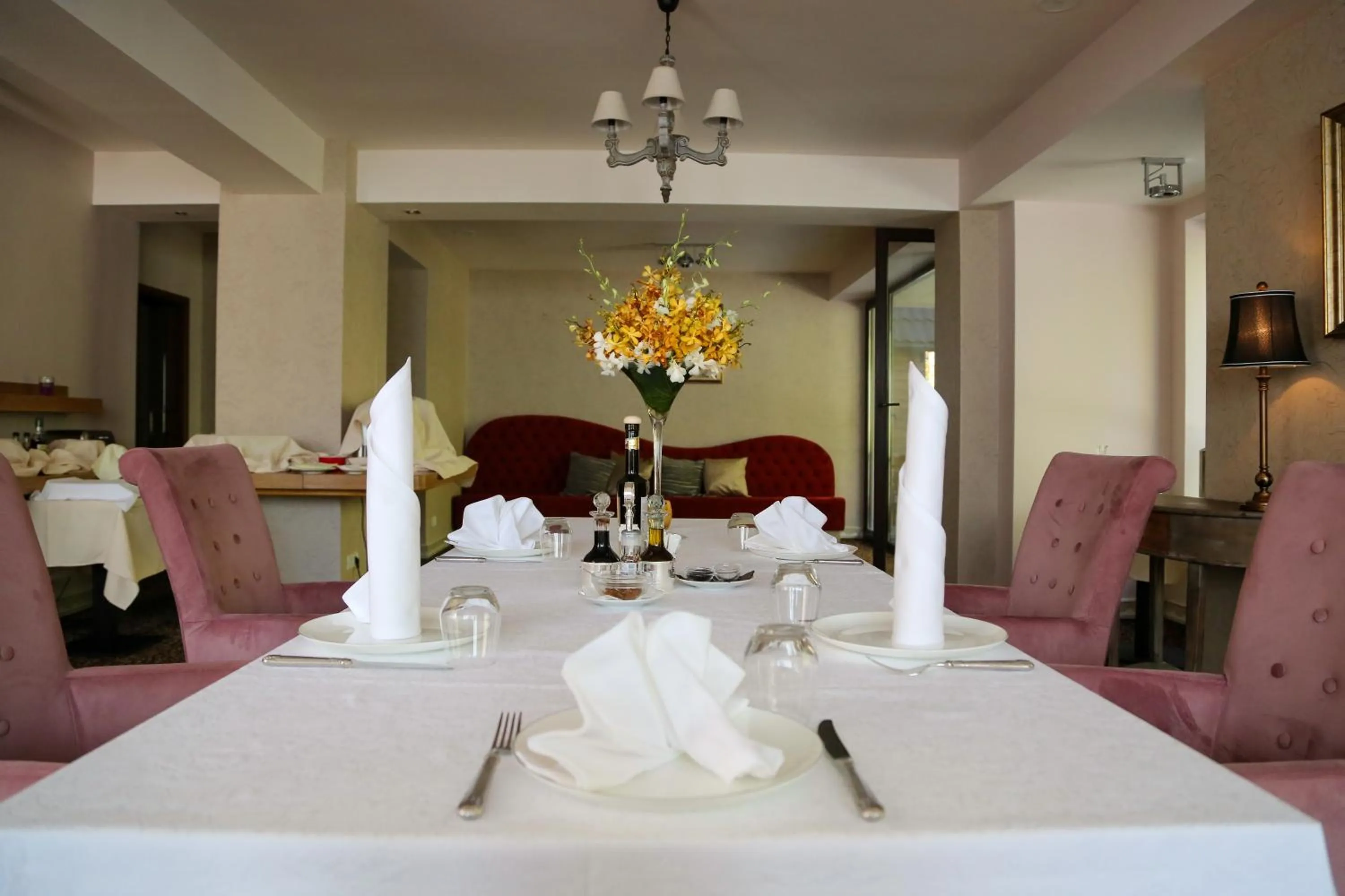 Restaurant/places to eat in Paj Hotelul Retreat & Spa