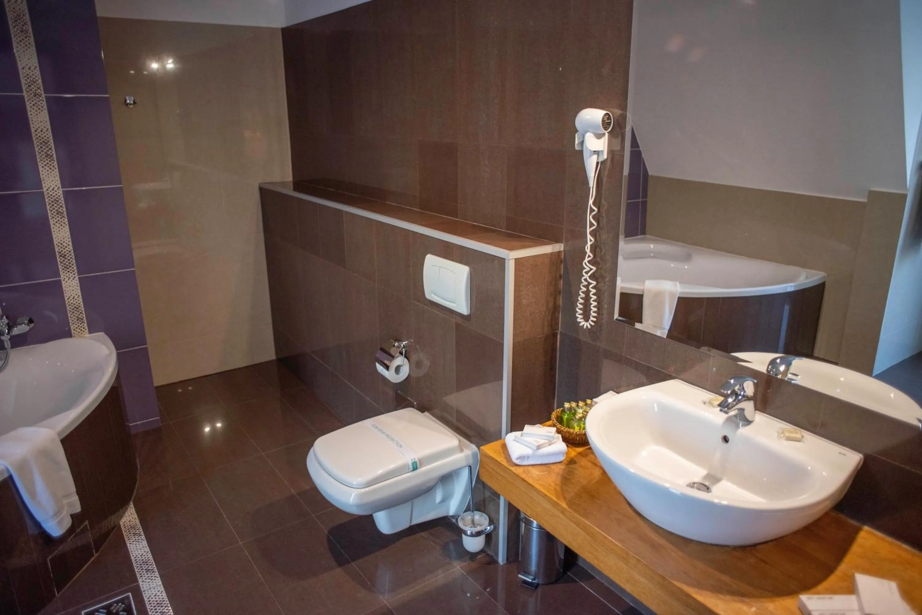 Toilet in Paj Hotelul Retreat & Spa