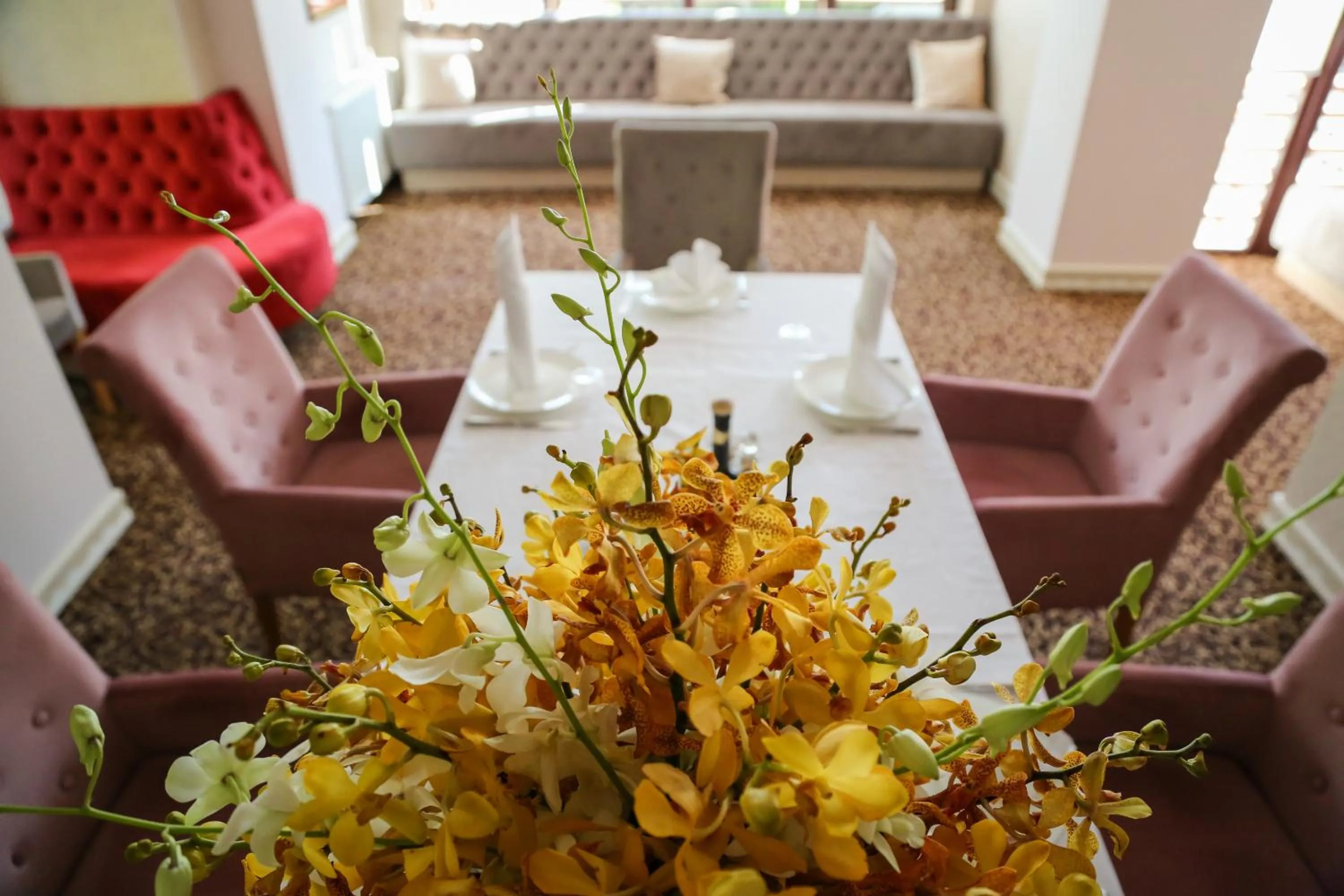 Restaurant/places to eat in Paj Hotelul Retreat & Spa