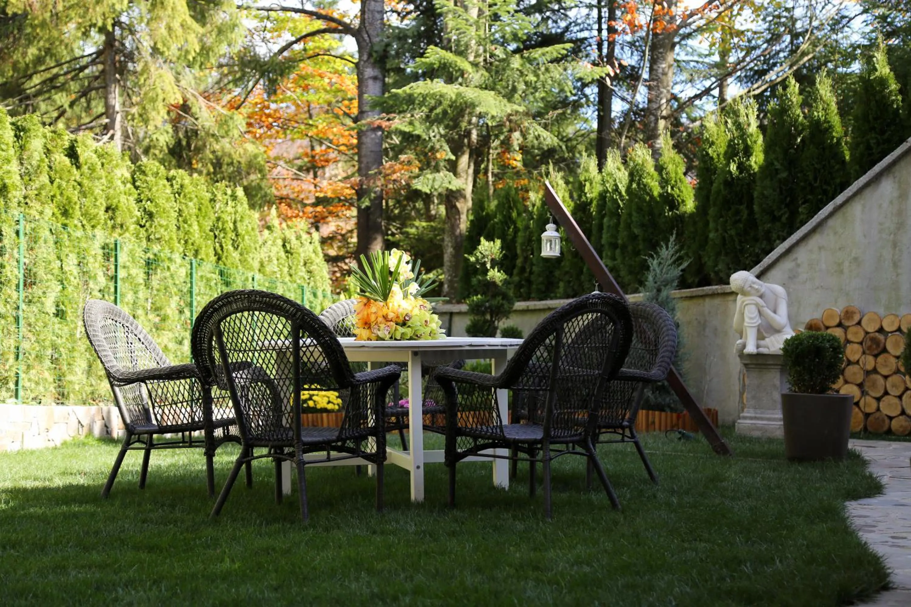 Garden in Paj Hotelul Retreat & Spa