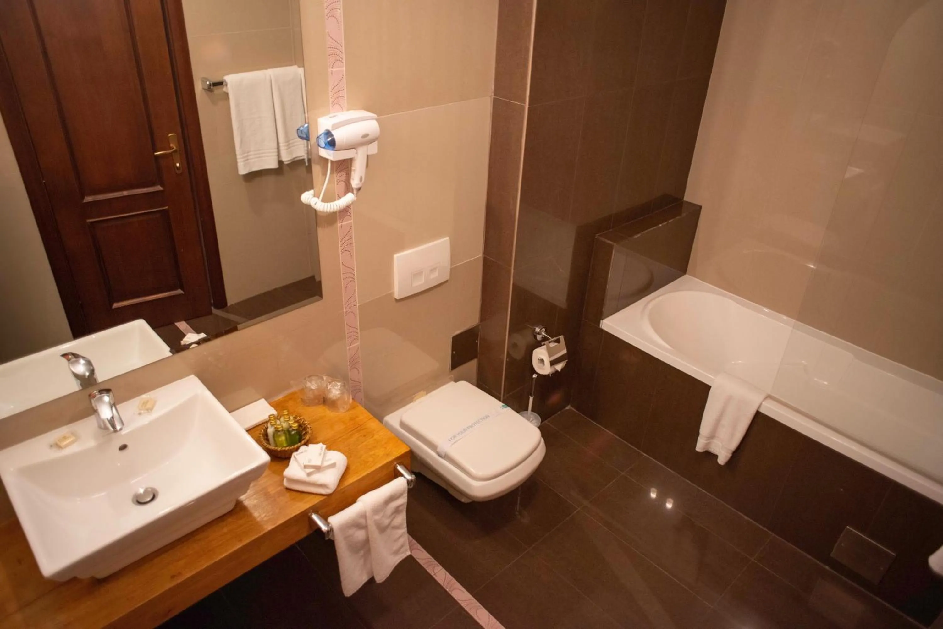 Toilet in Paj Hotelul Retreat & Spa