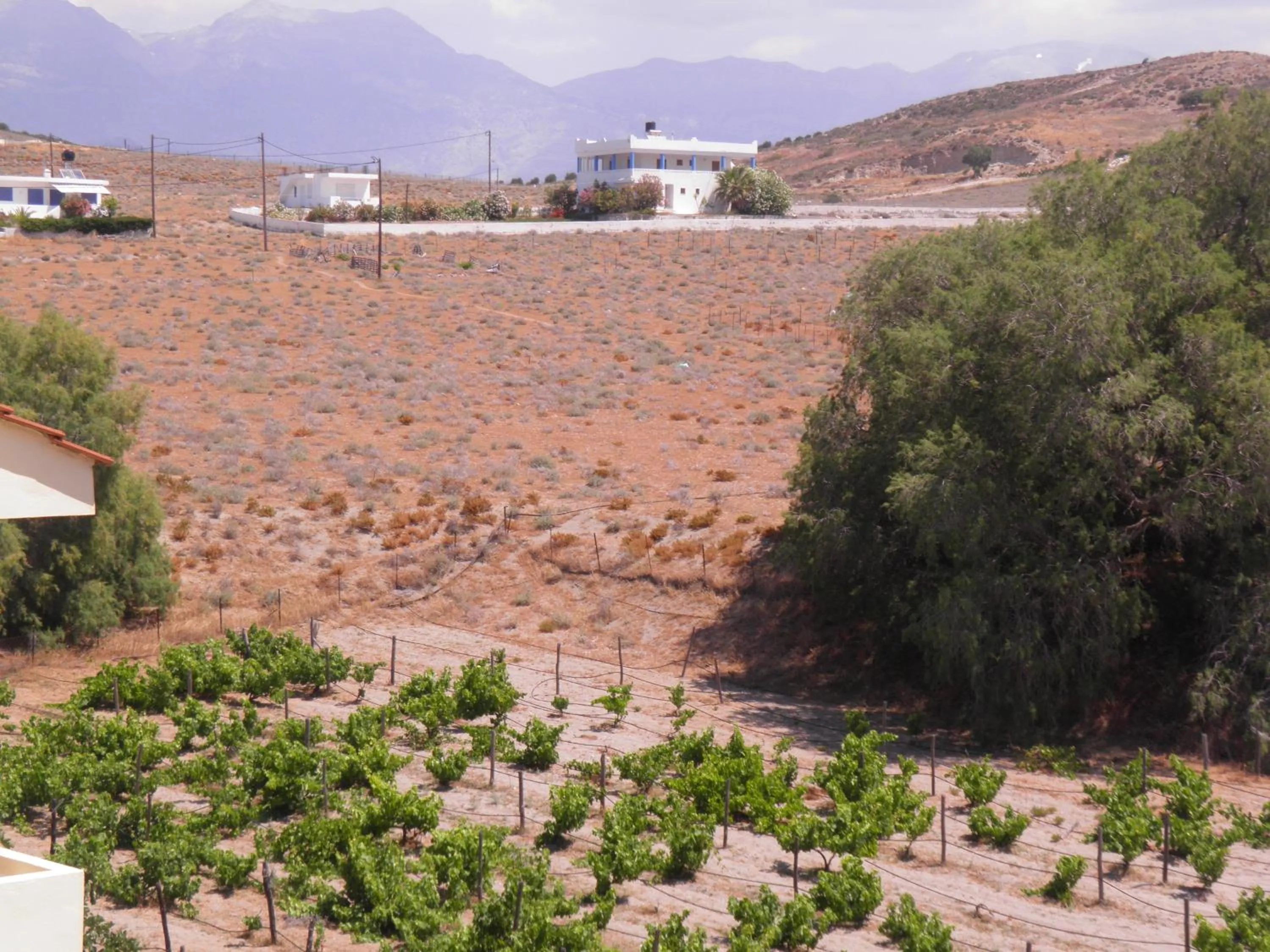 Mountain view in Galaxias Studios