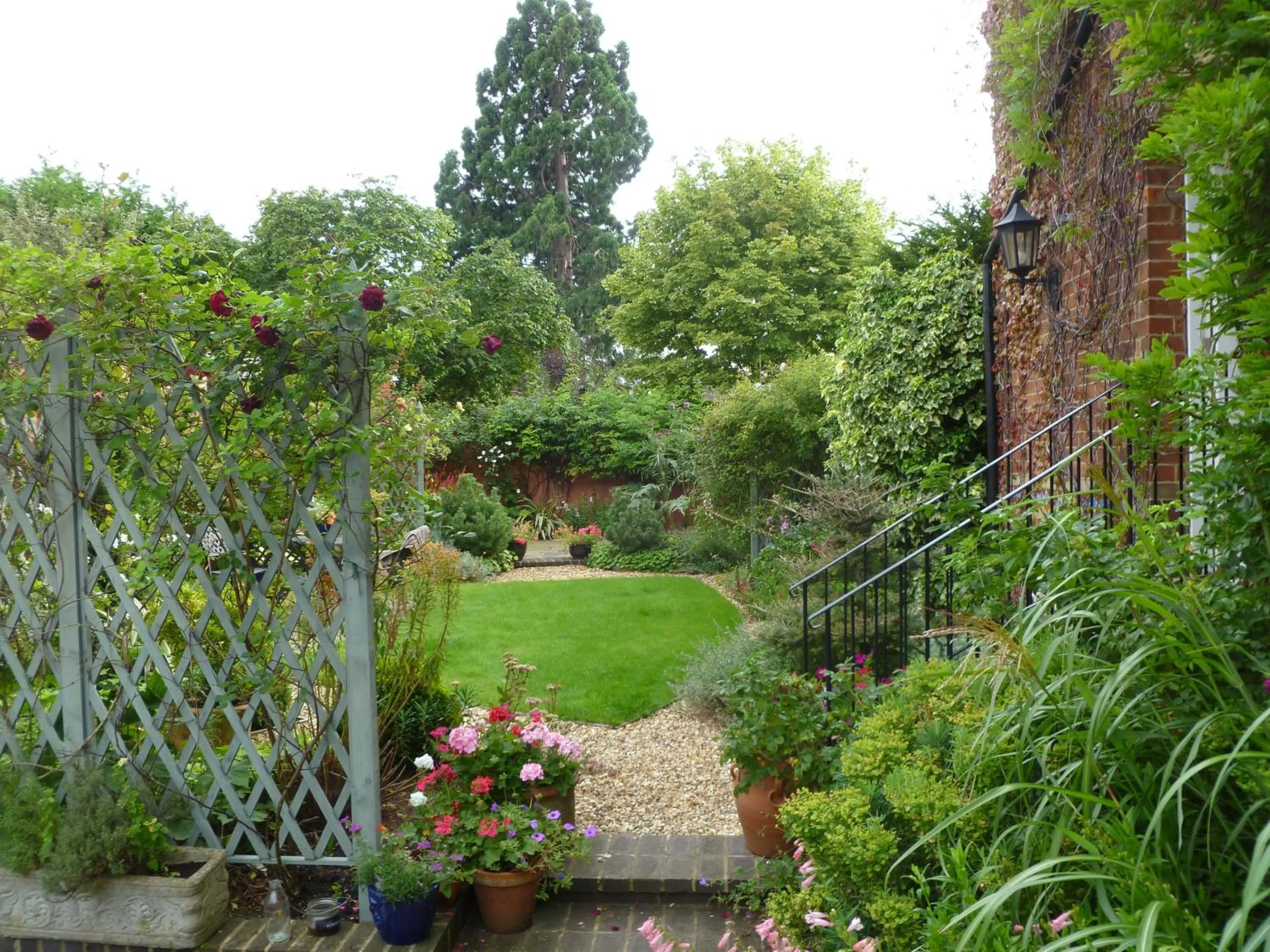 Garden in Laurel House