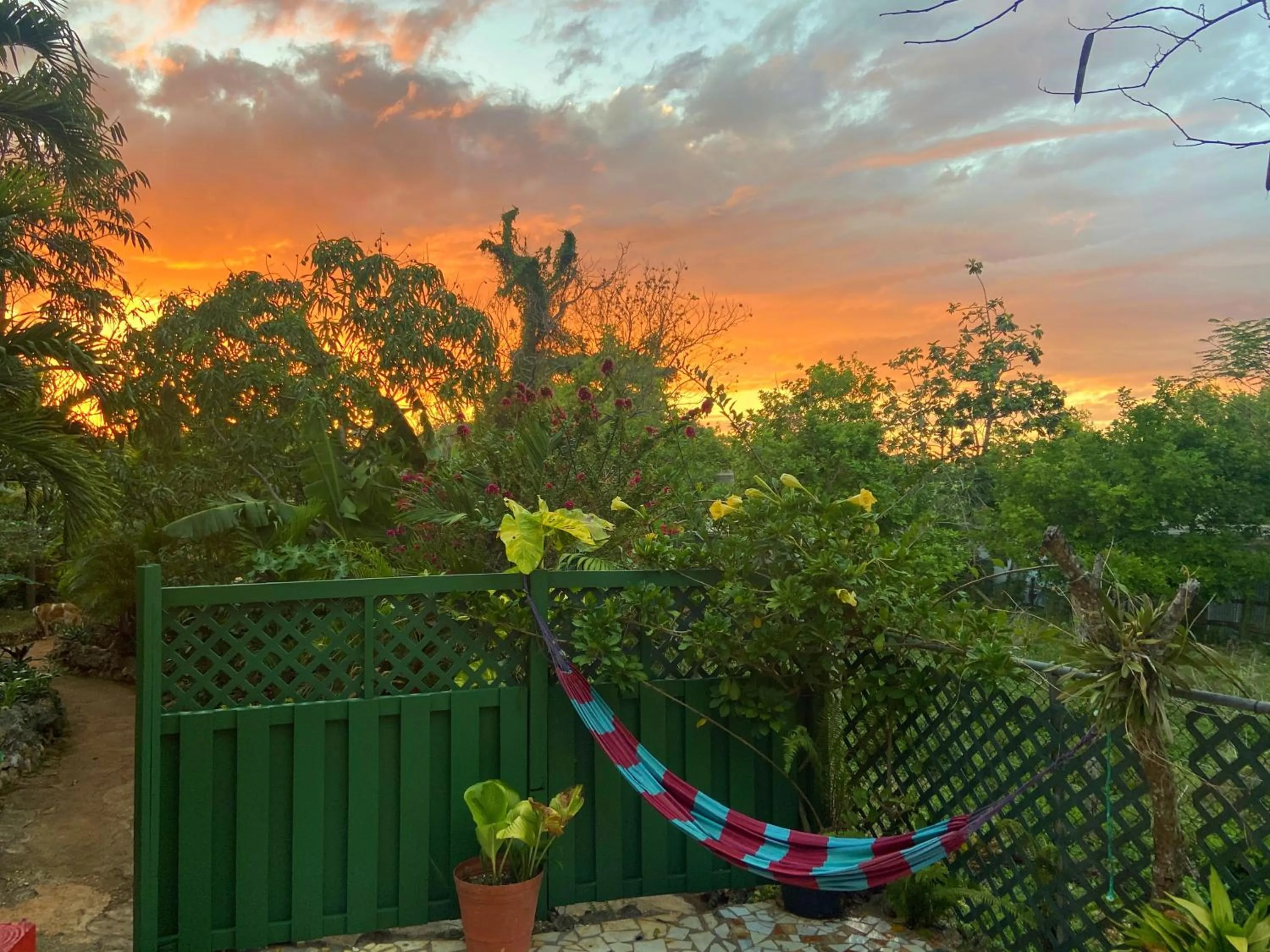 Patio in Judy House Cottages and Rooms