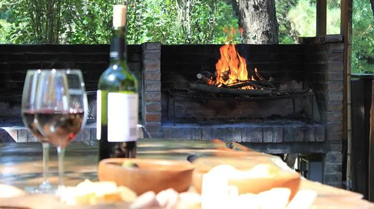 BBQ facilities in Hostería y Cabañas Altamar De Las Pampas